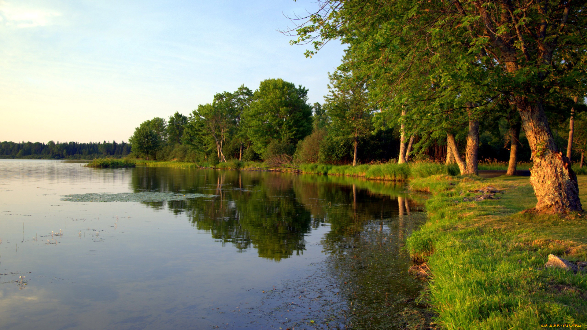 природа, реки, озера, берег, трава, деревья