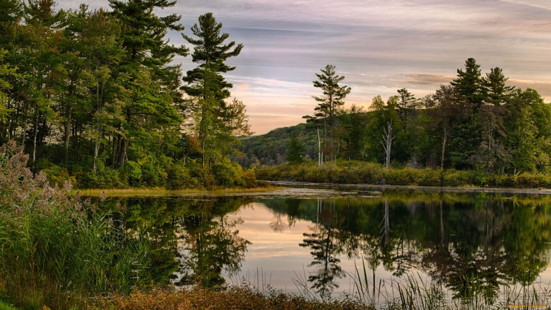 природа, реки, озера, река, лес
