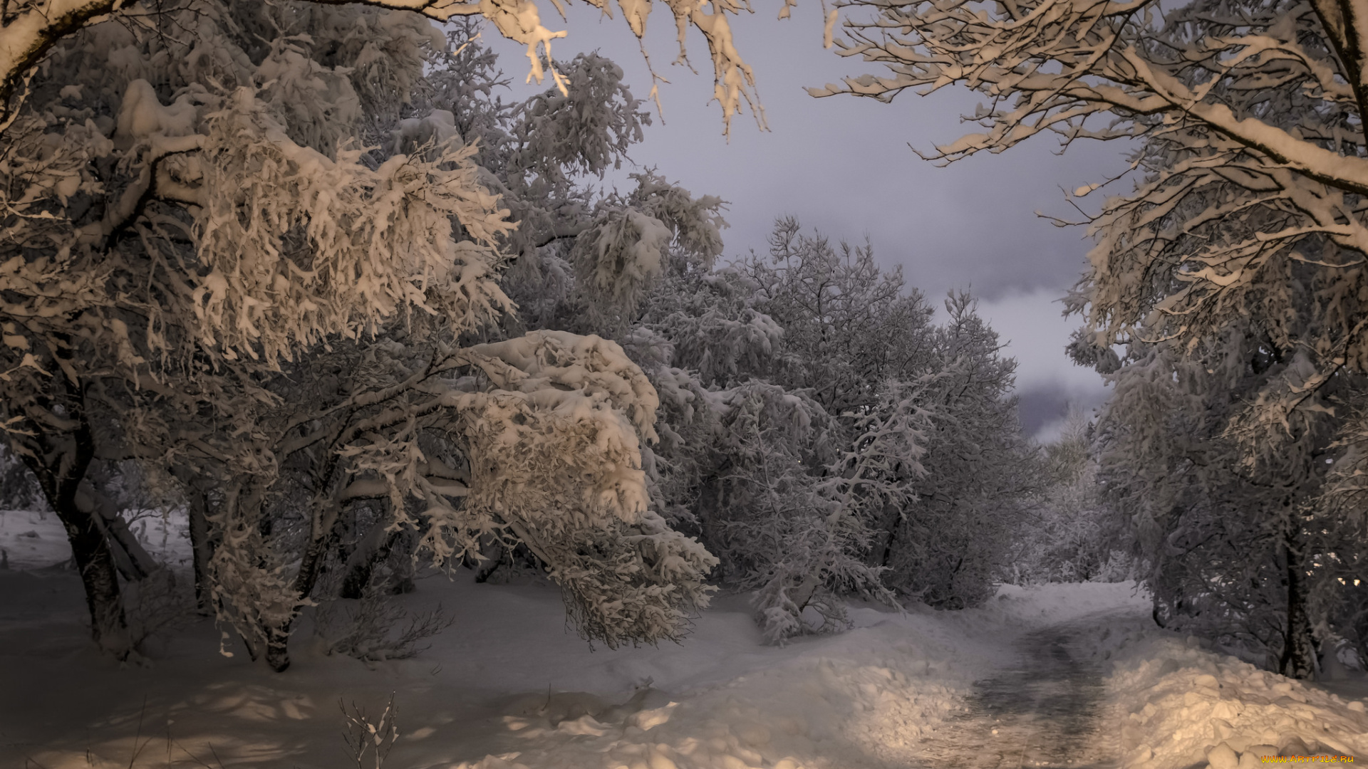 природа, зима, лес, снег, вечер