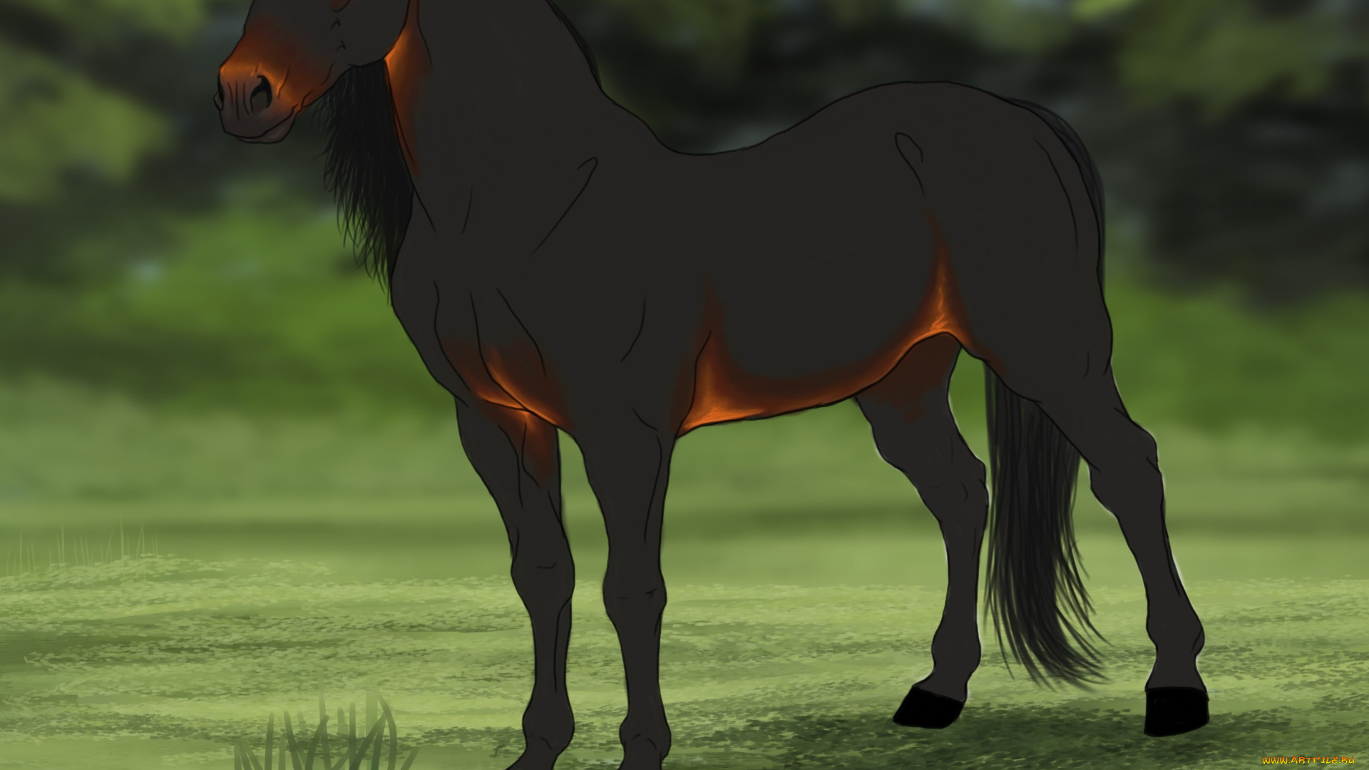 рисованное, животные, , лошади, лошадь, фон