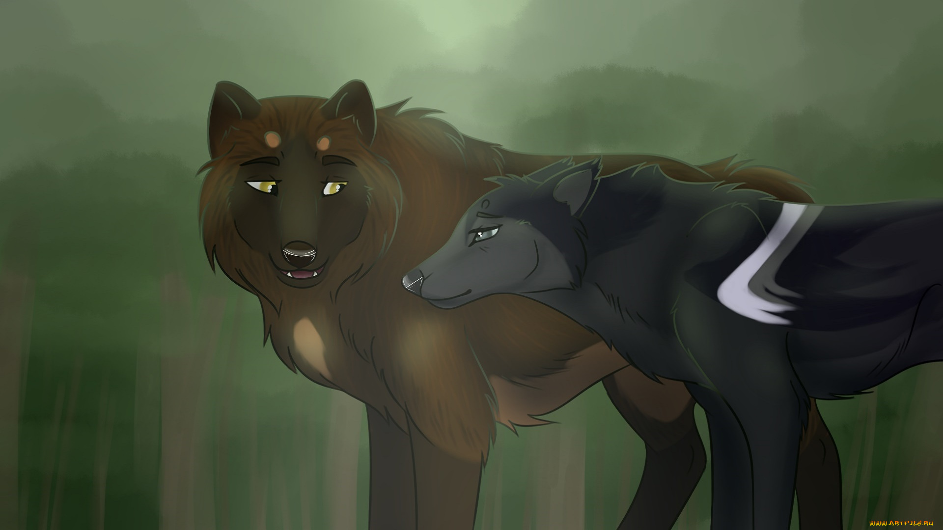 рисованное, животные, , собаки, фон, собаки, взгляд