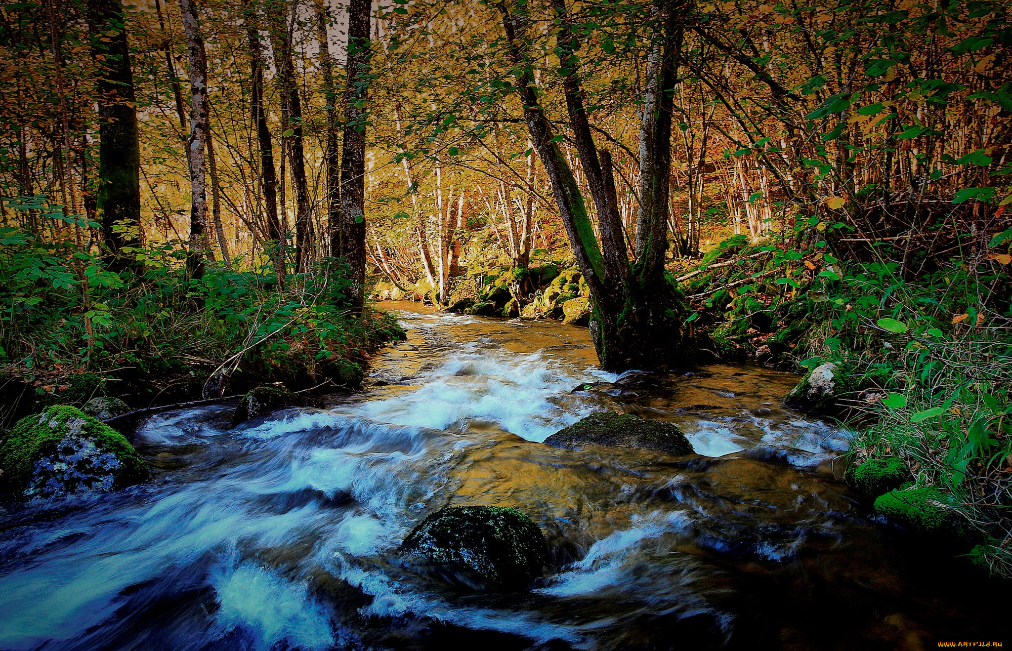 природа, реки, озера, река, лес