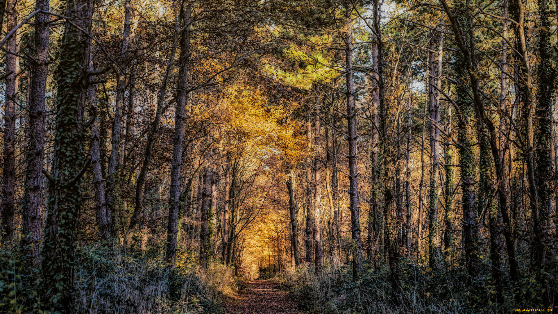 природа, дороги, тракт