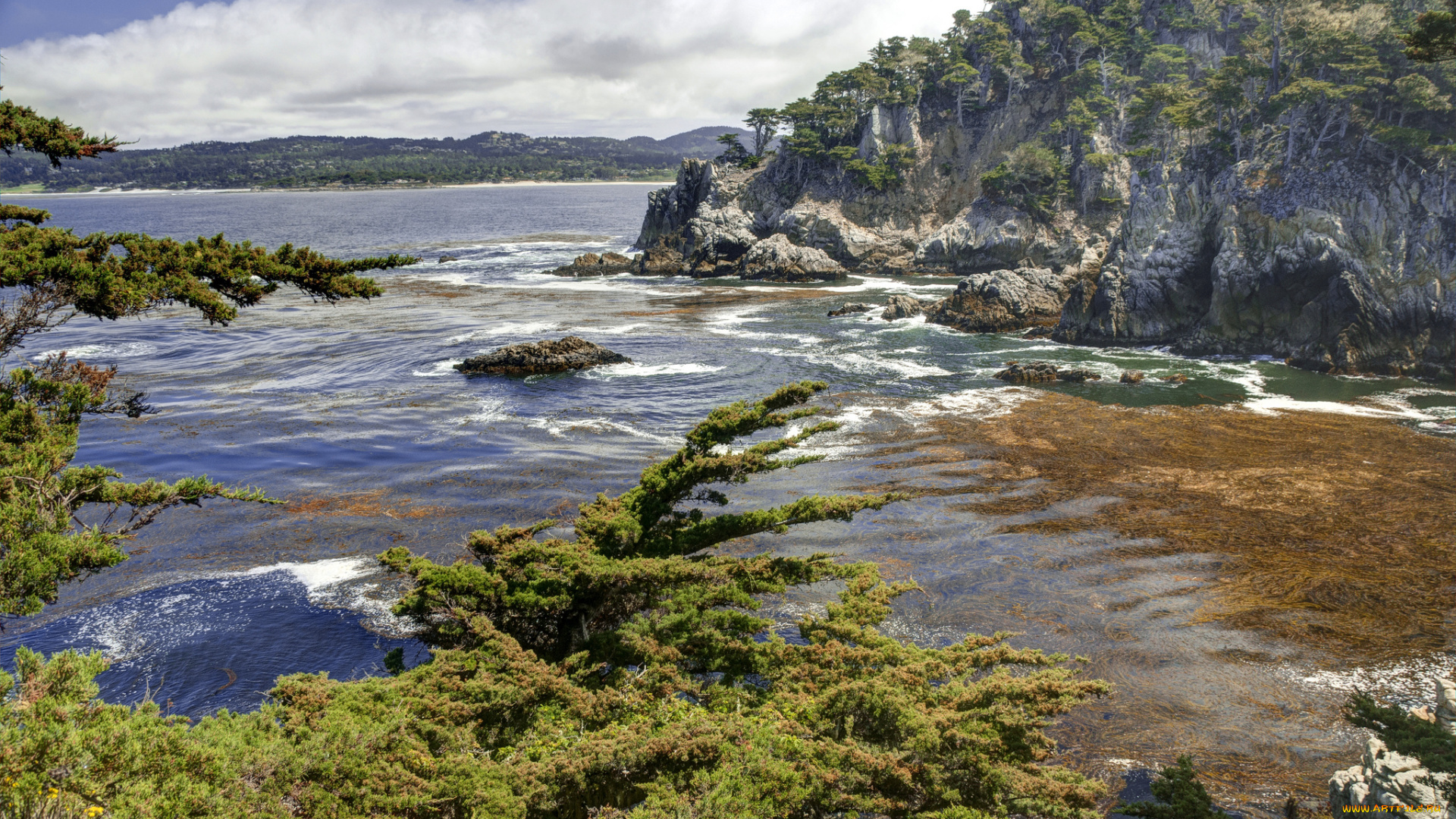 природа, побережье, море, берег