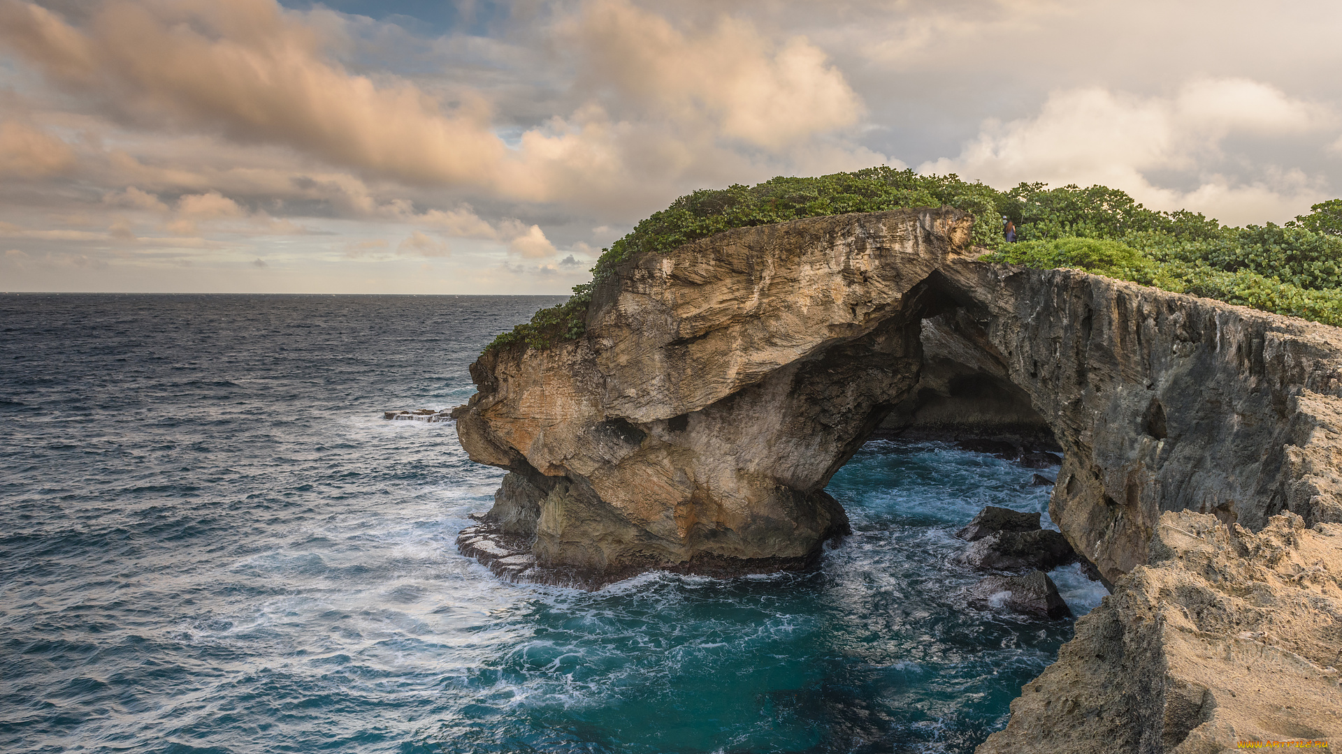 природа, побережье, море, берег