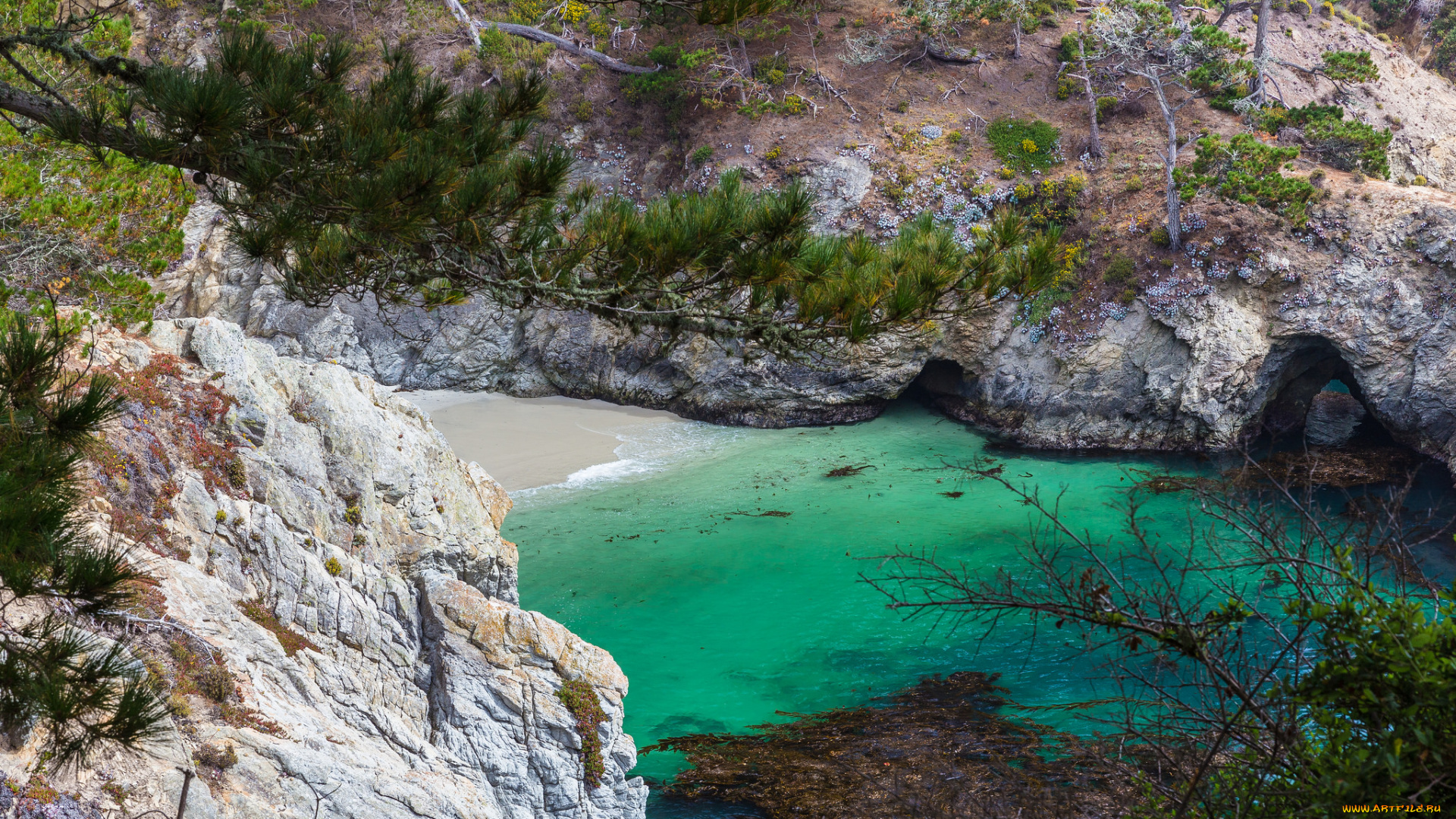 природа, побережье, море, берег