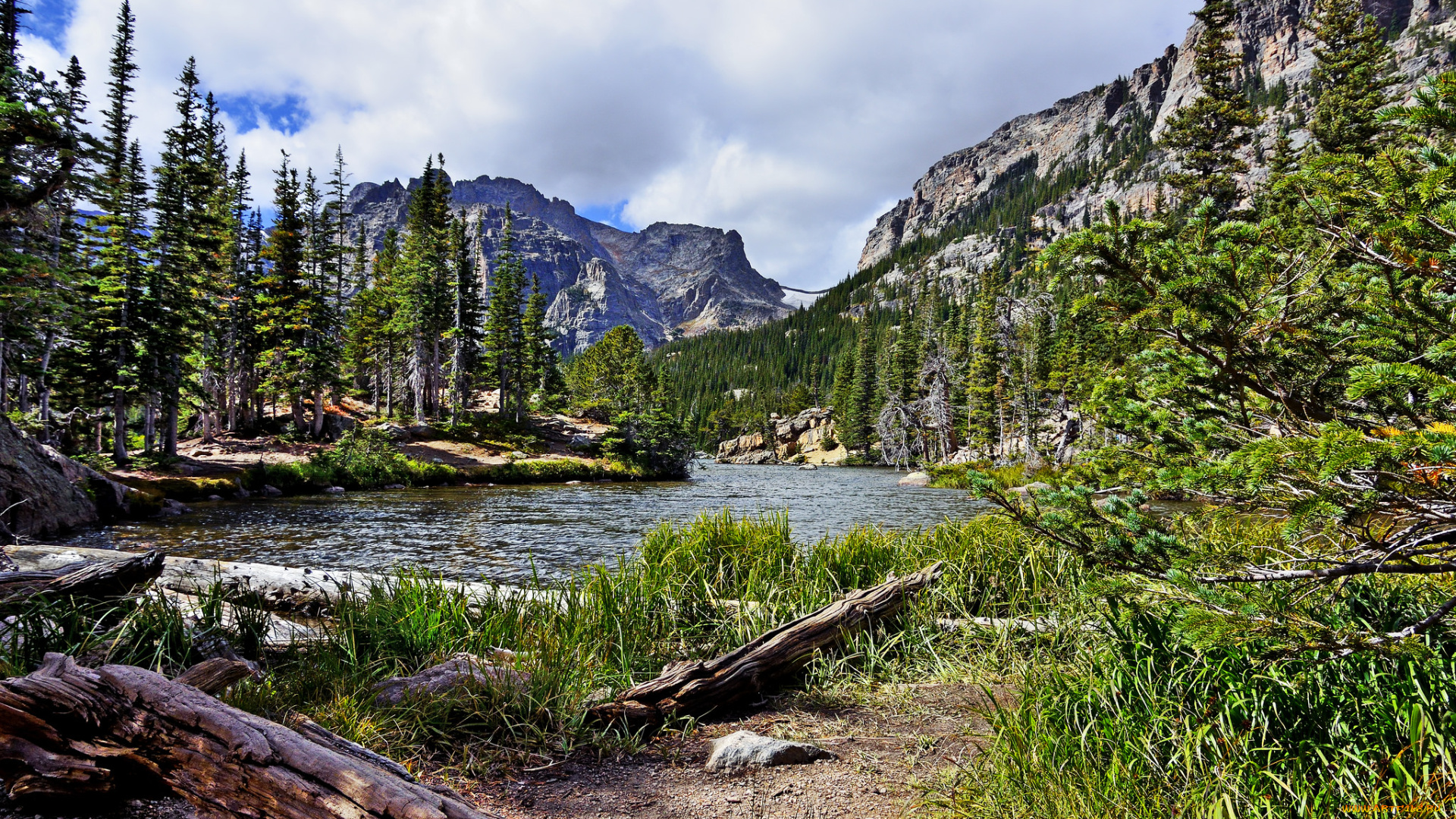 природа, реки, озера, лес, река