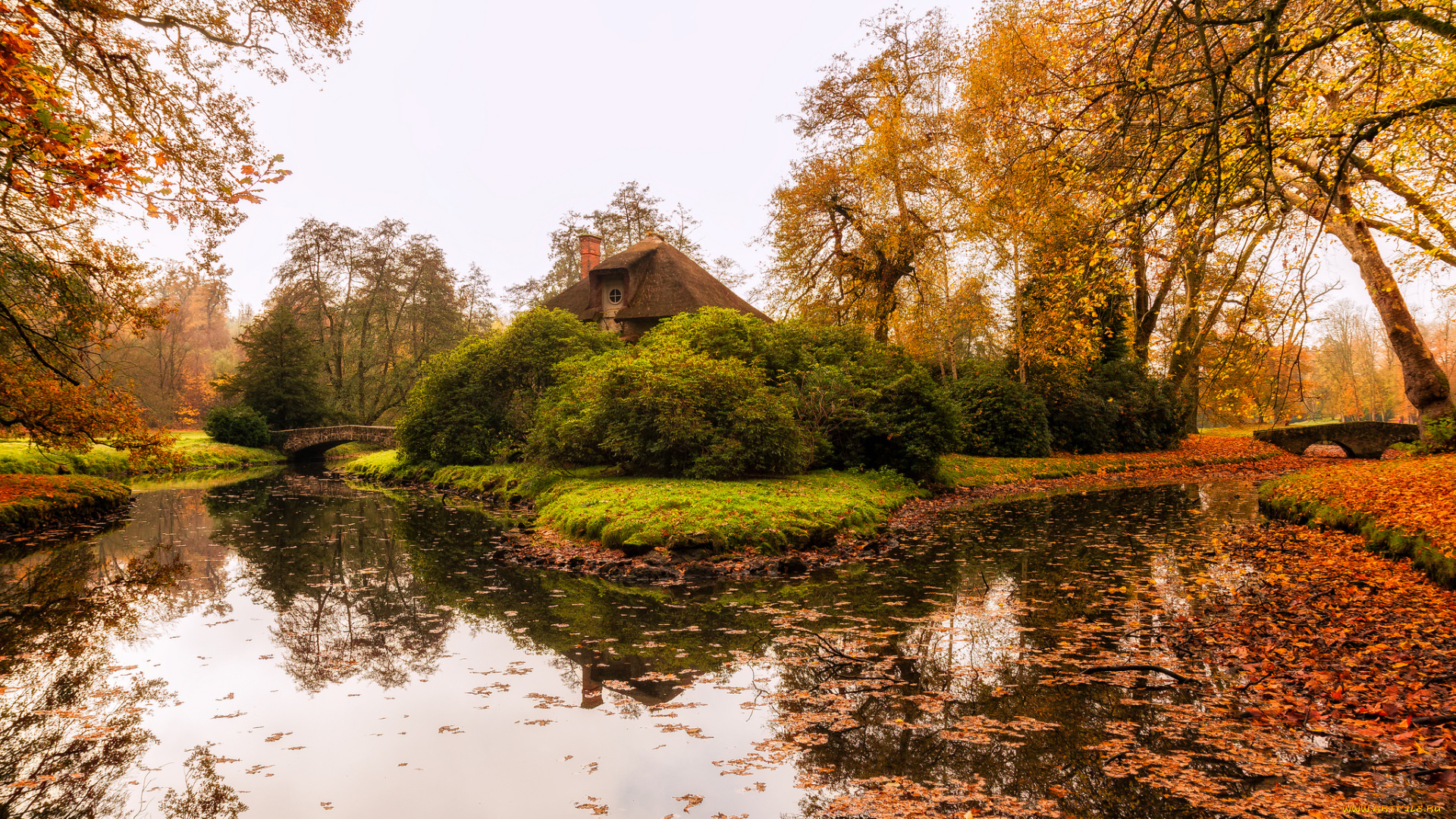 природа, реки, озера, лес, река