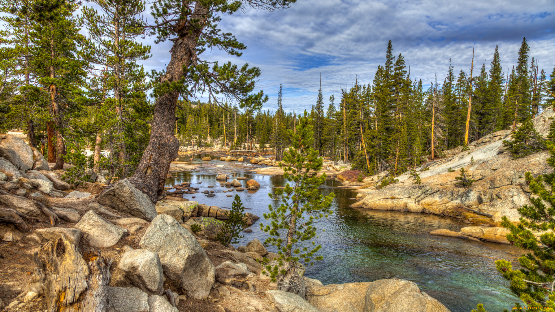 природа, реки, озера, лес, река