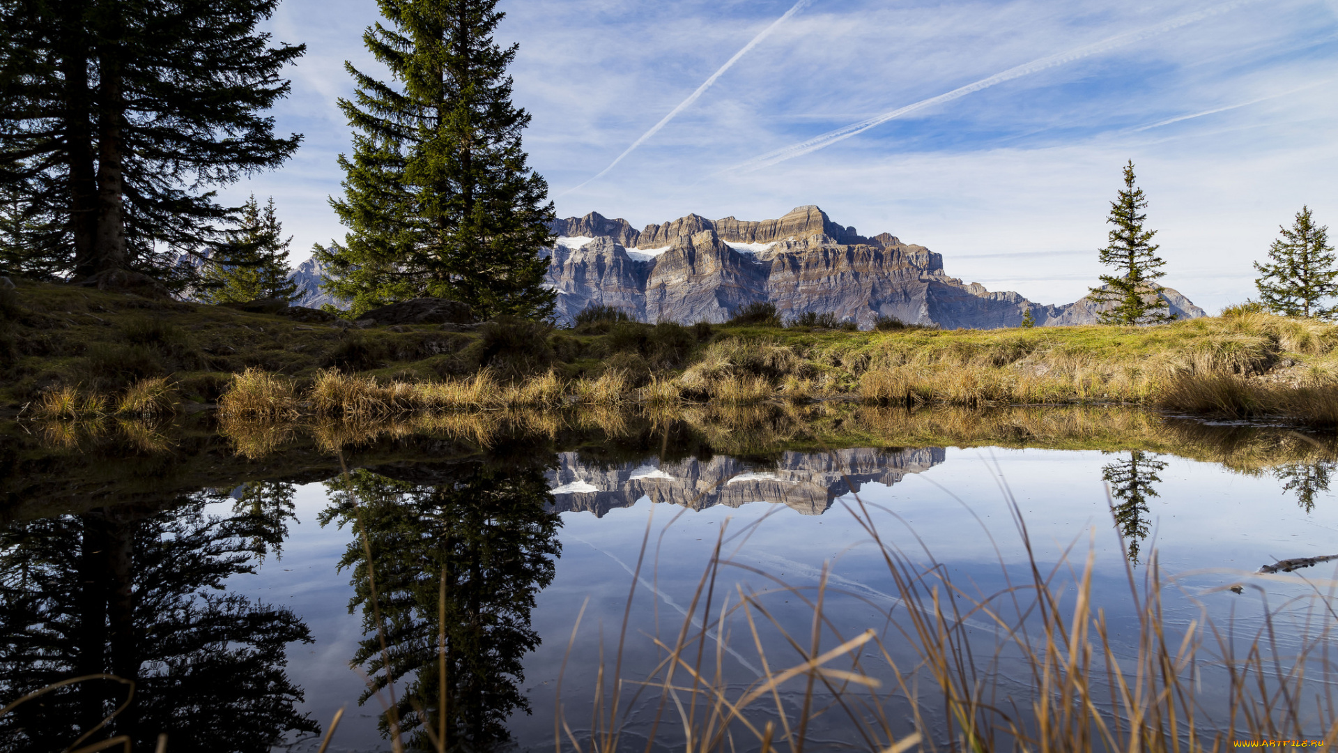 природа, реки, озера, лес, река