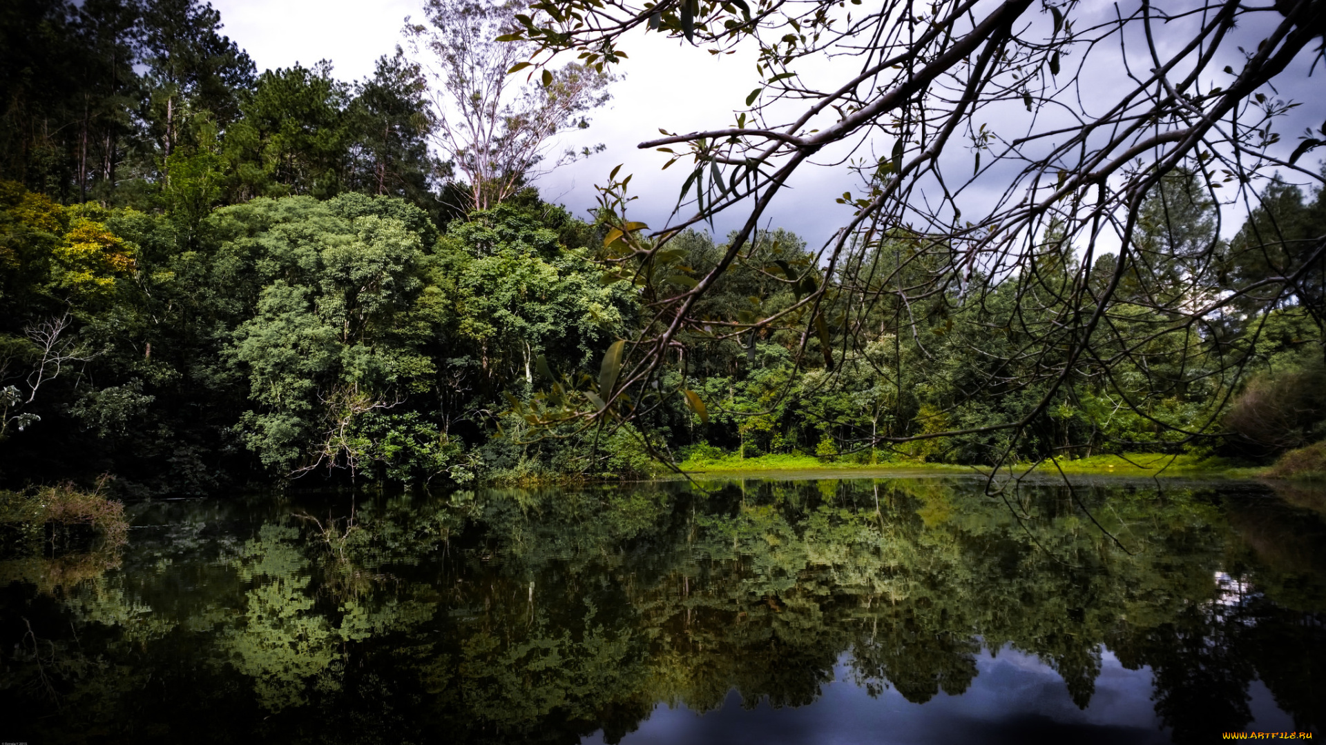 природа, реки, озера, лес, река