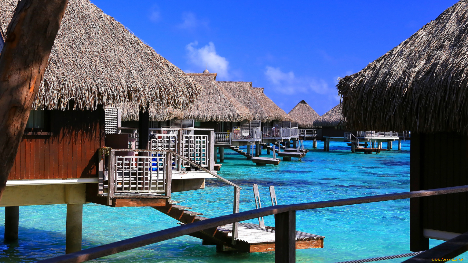 природа, тропики, курорт