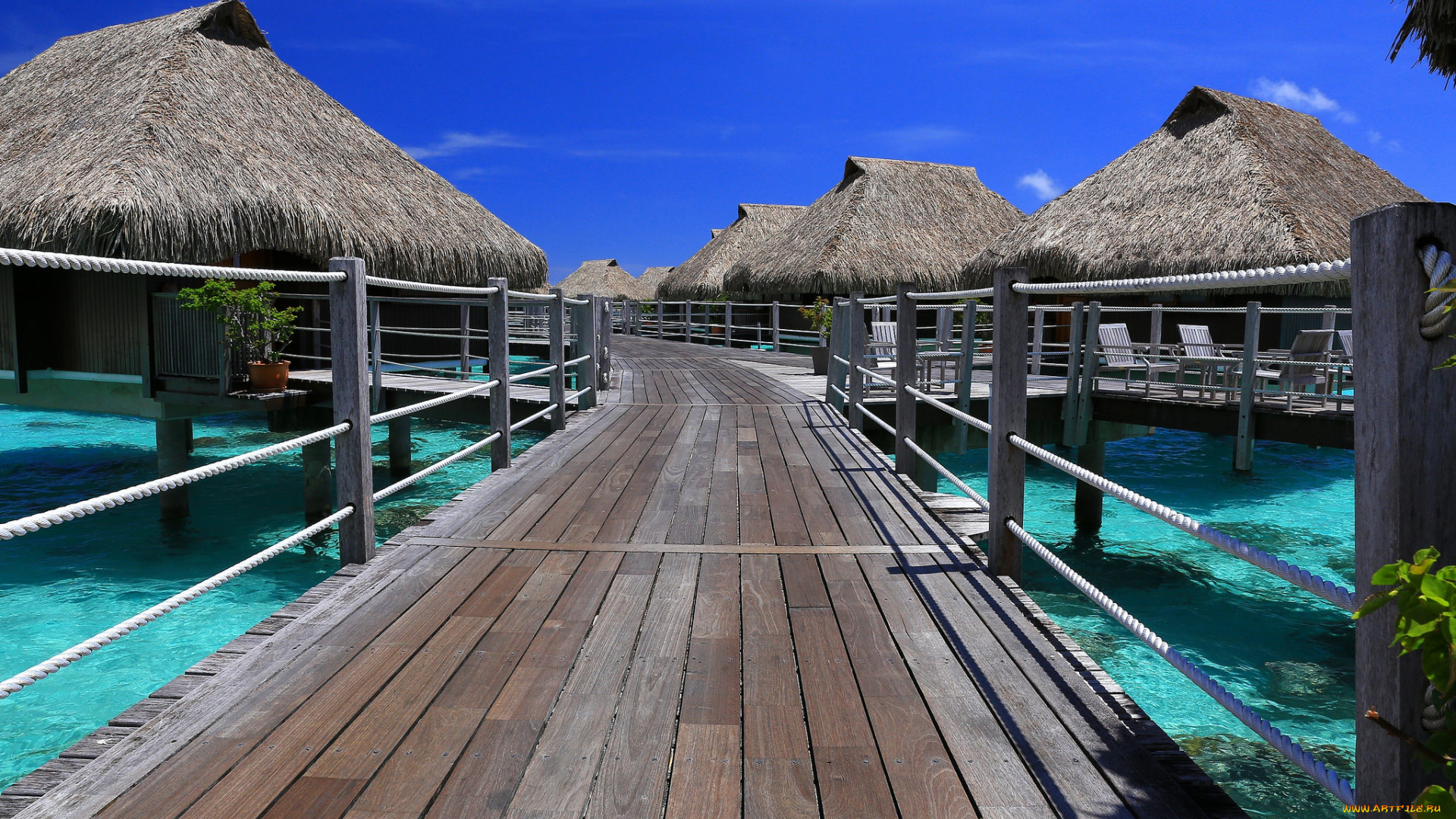 природа, тропики, курорт