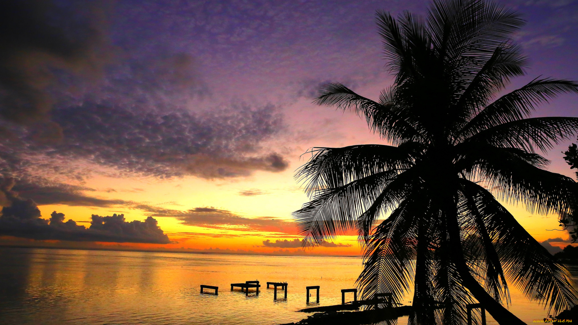 природа, тропики, курорт