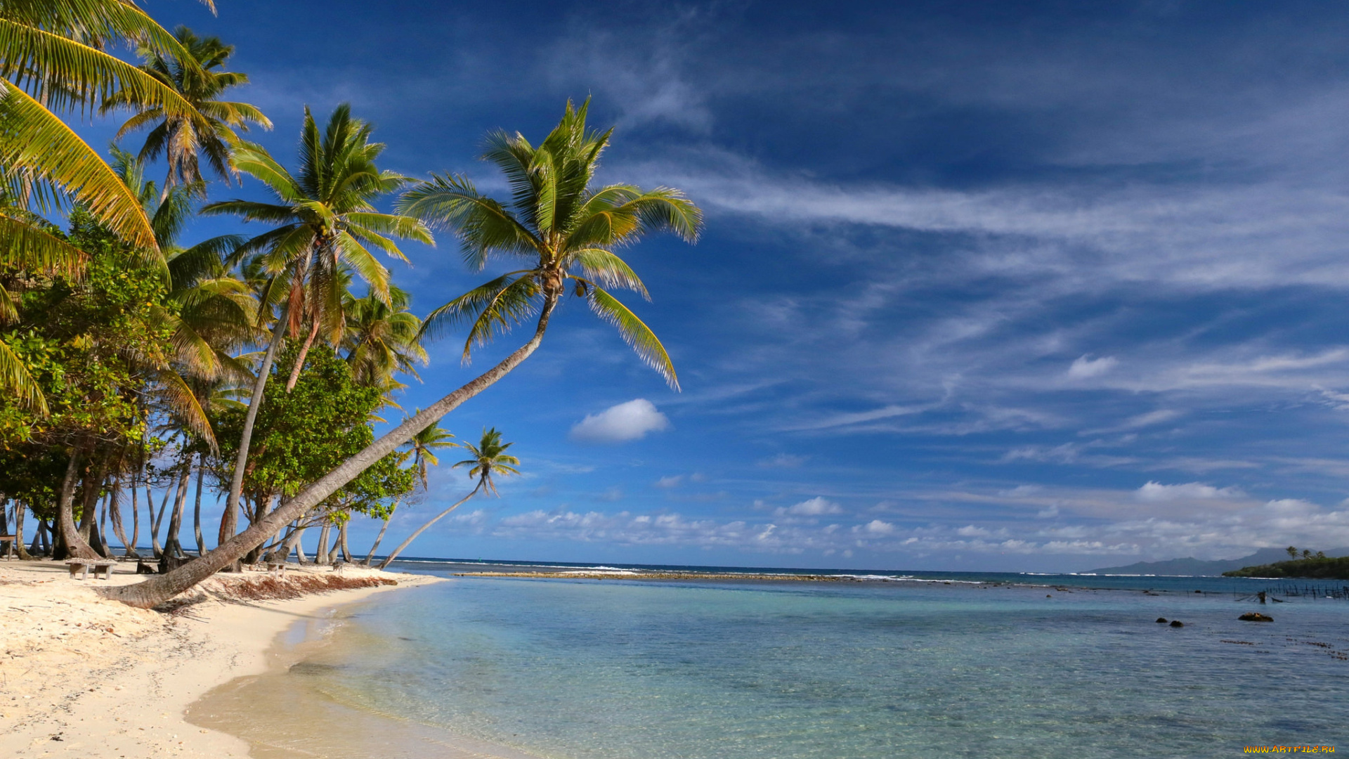 природа, тропики, курорт