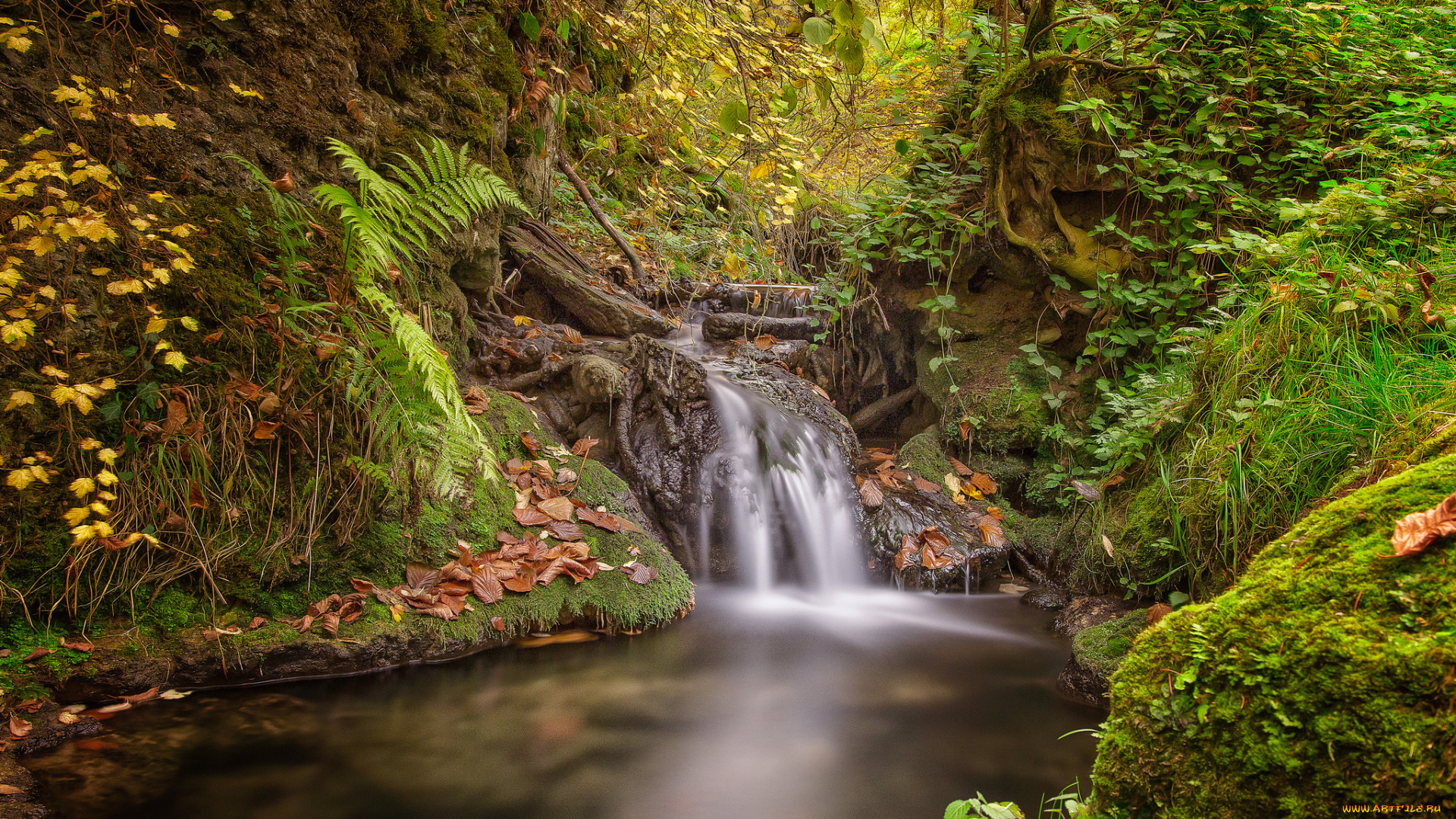природа, водопады, лес, река, водопад