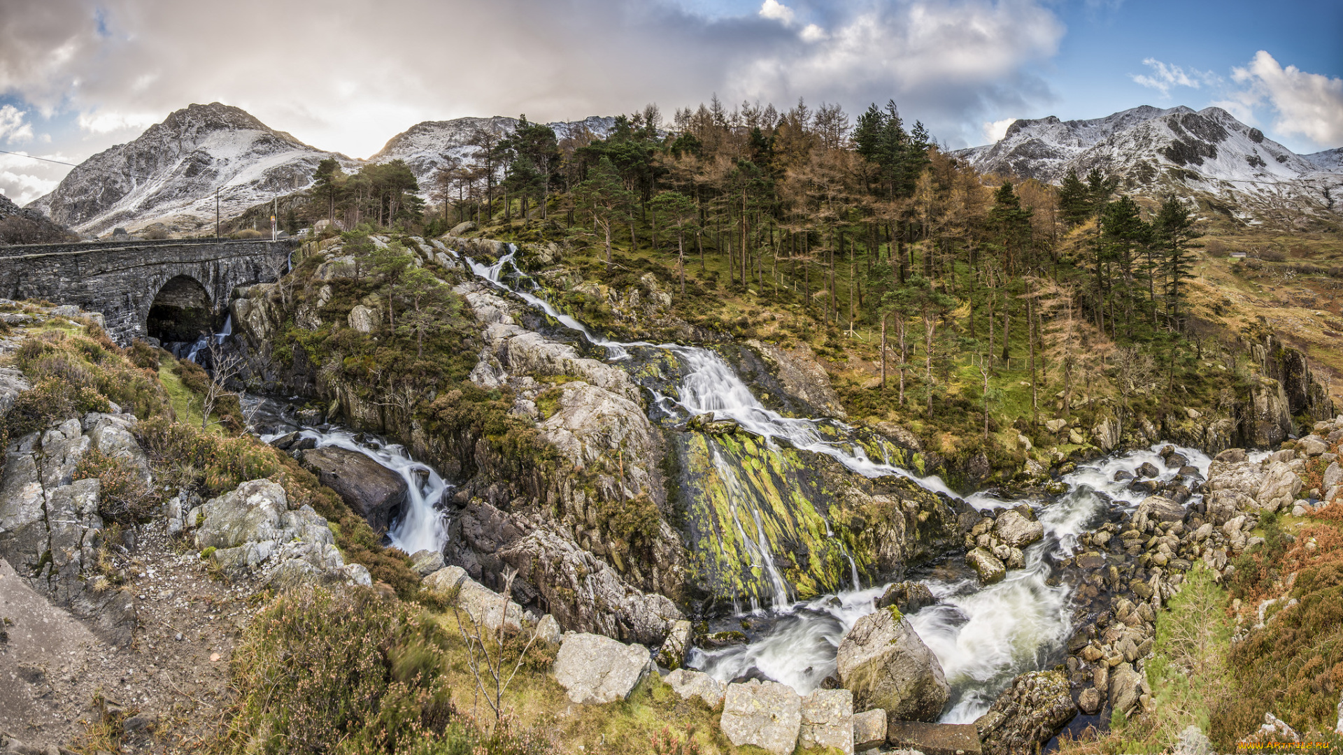 природа, водопады, лес, река, водопад