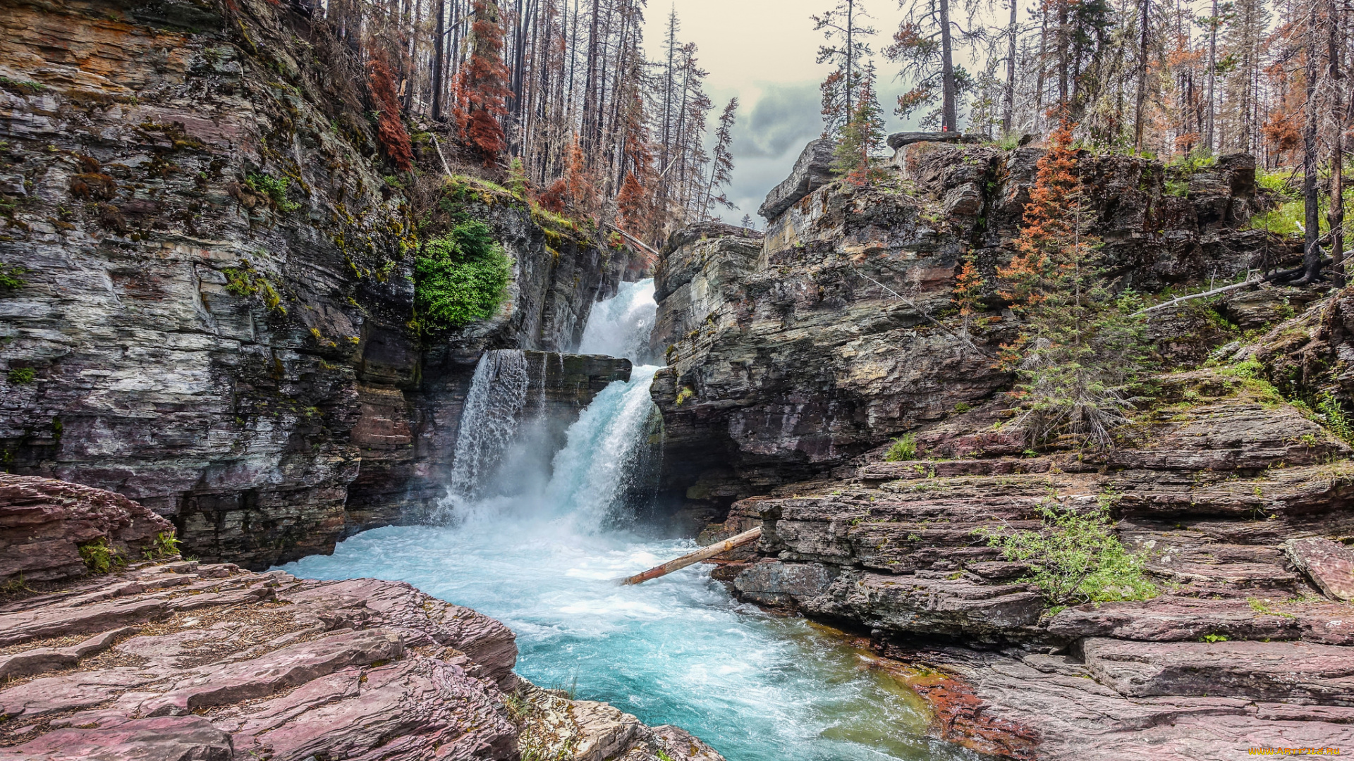 природа, водопады, лес, река, водопад