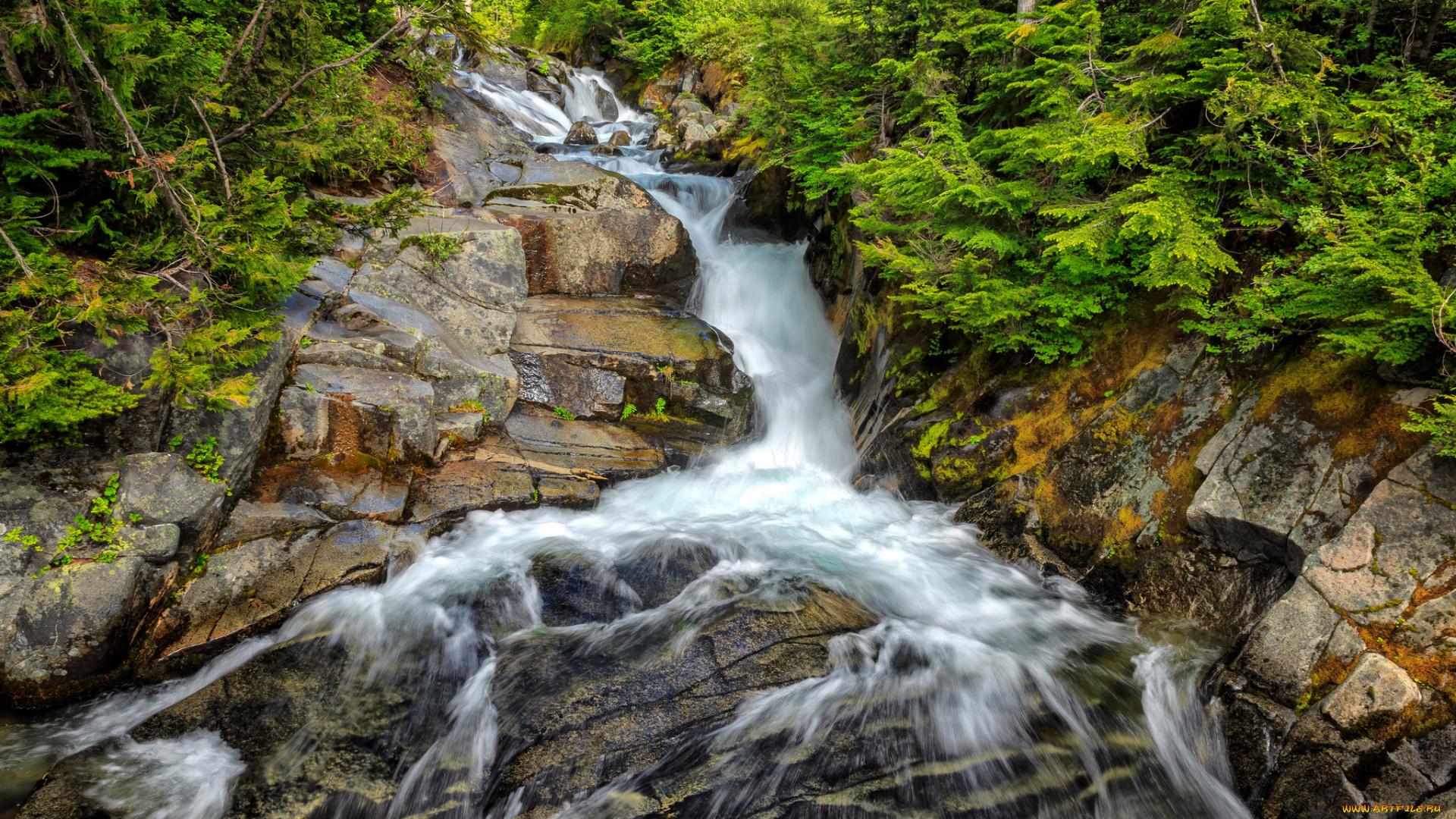 природа, водопады, лес, река, водопад