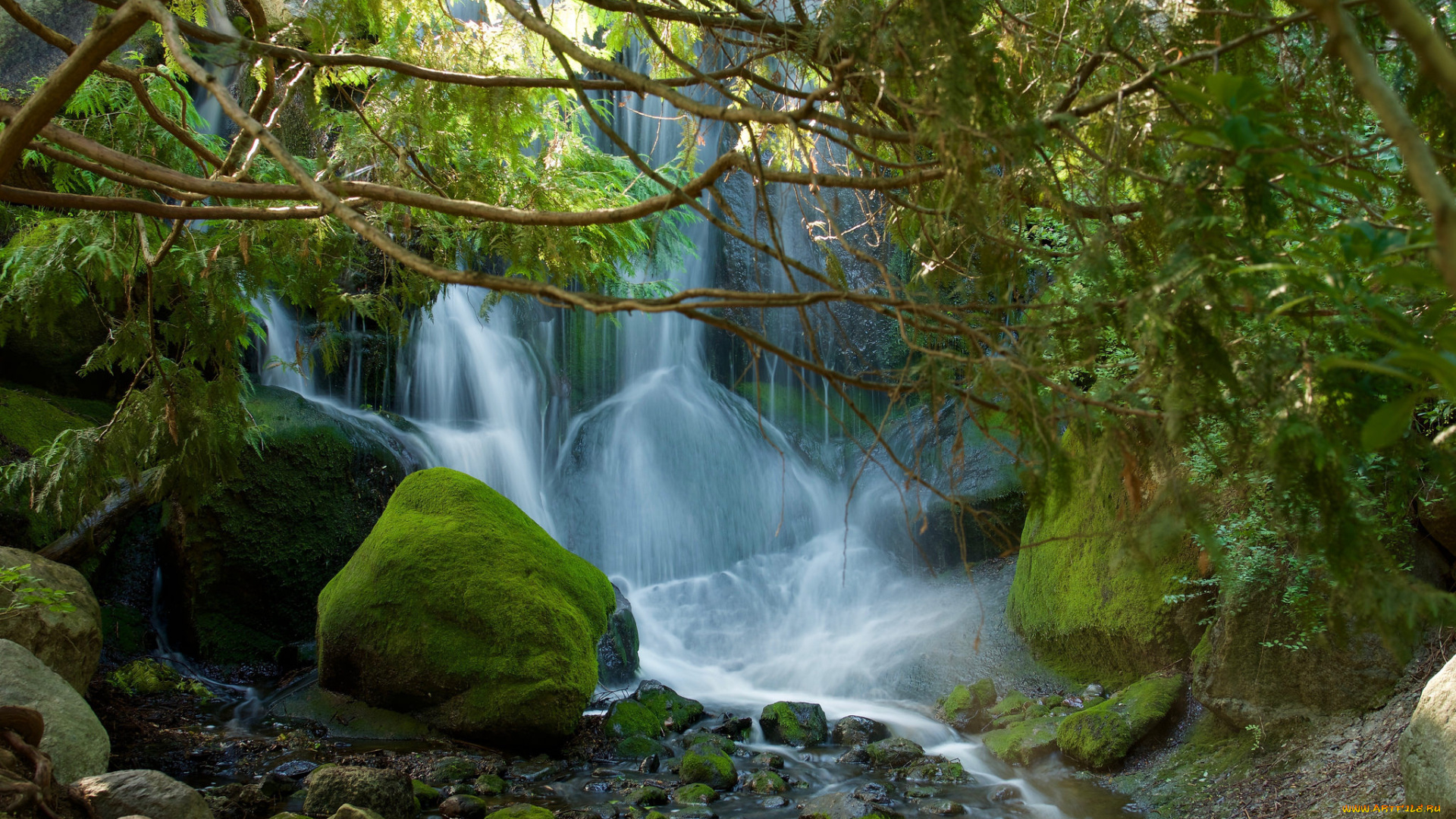 природа, водопады, лес, река, водопад