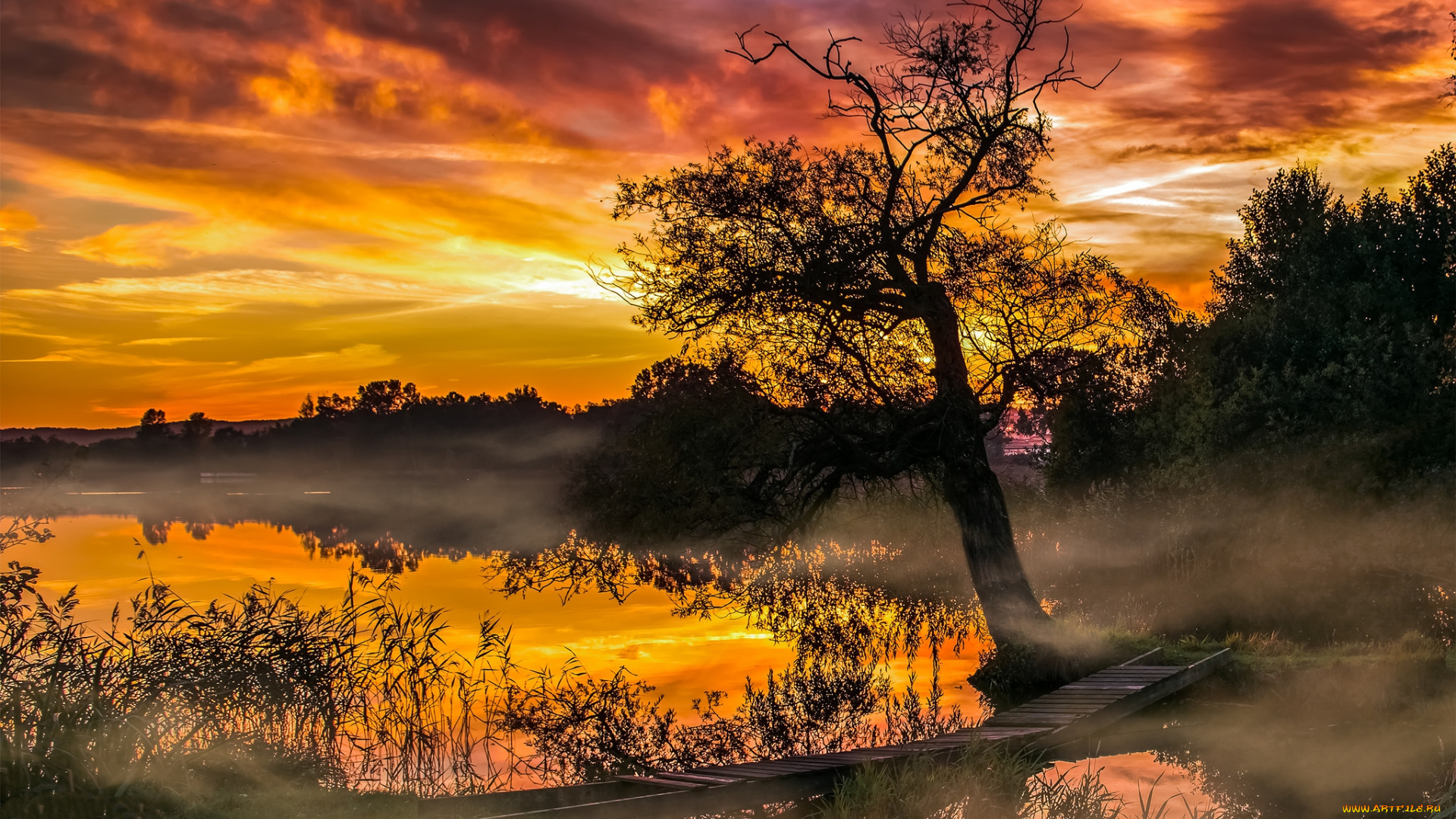 природа, восходы, закаты, рассвет