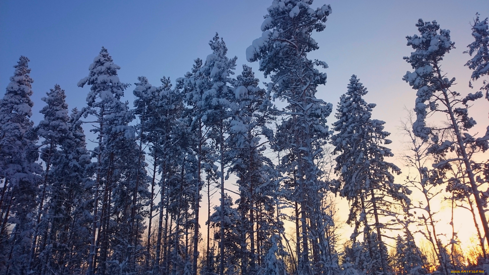 природа, зима, снег