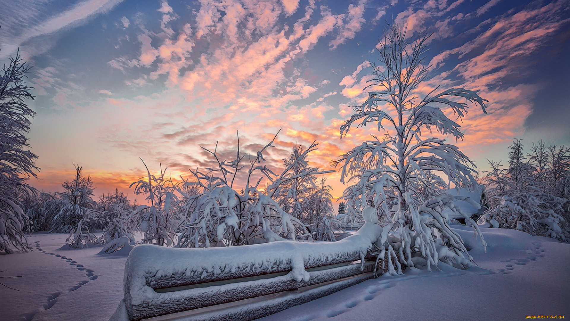 природа, зима, снег, сугробы, следы