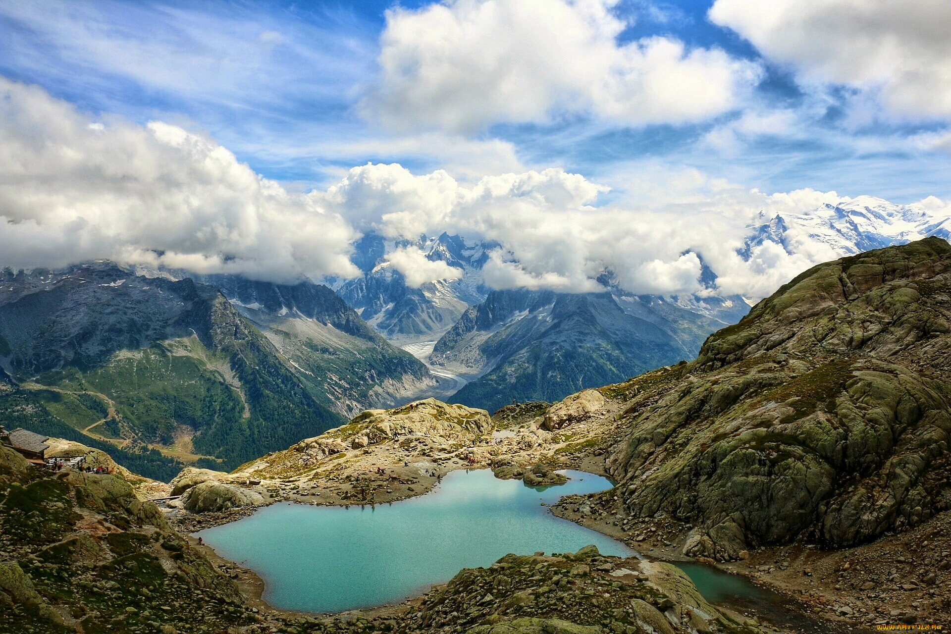 природа, реки, озера, лес, река