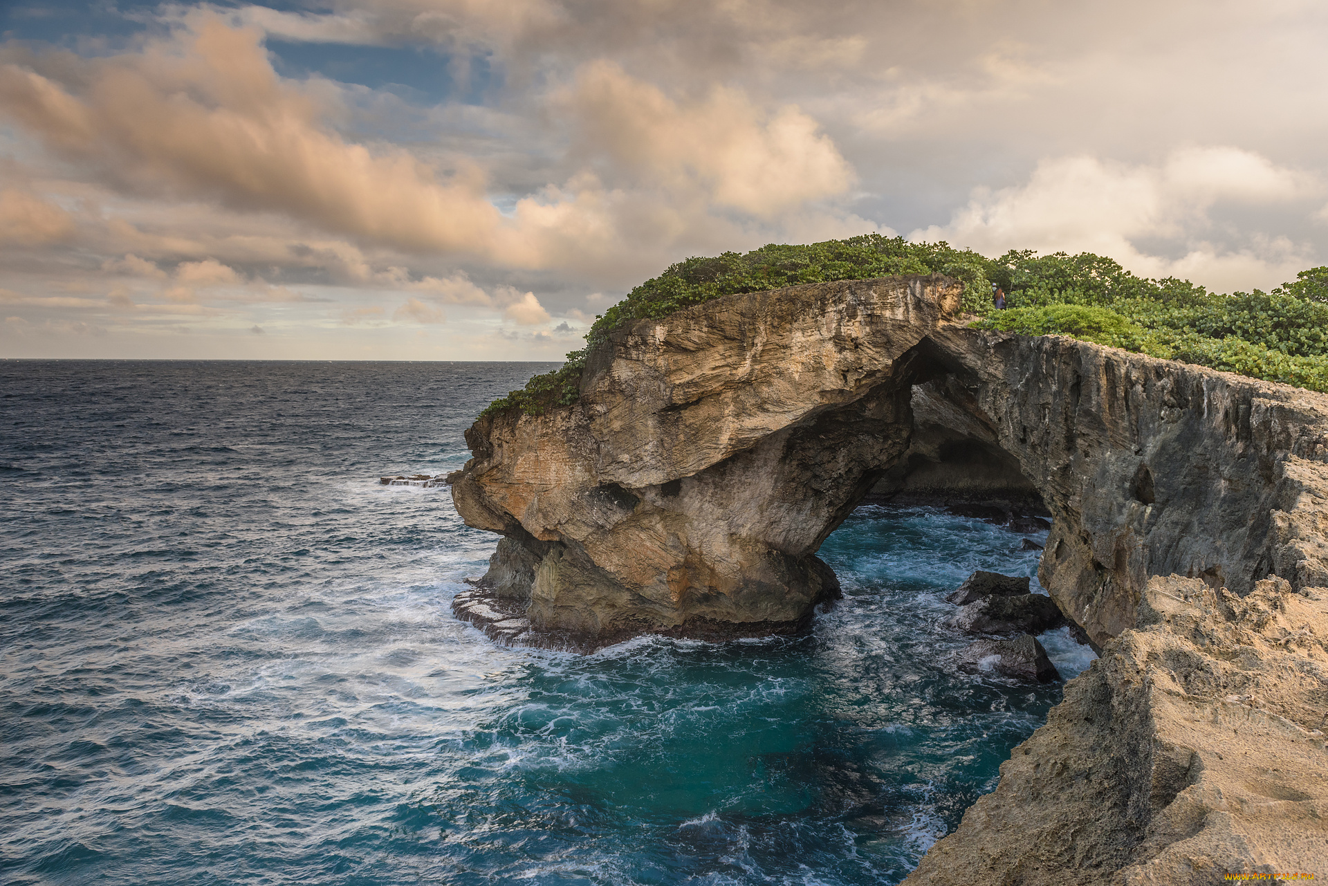 природа, побережье, море, берег
