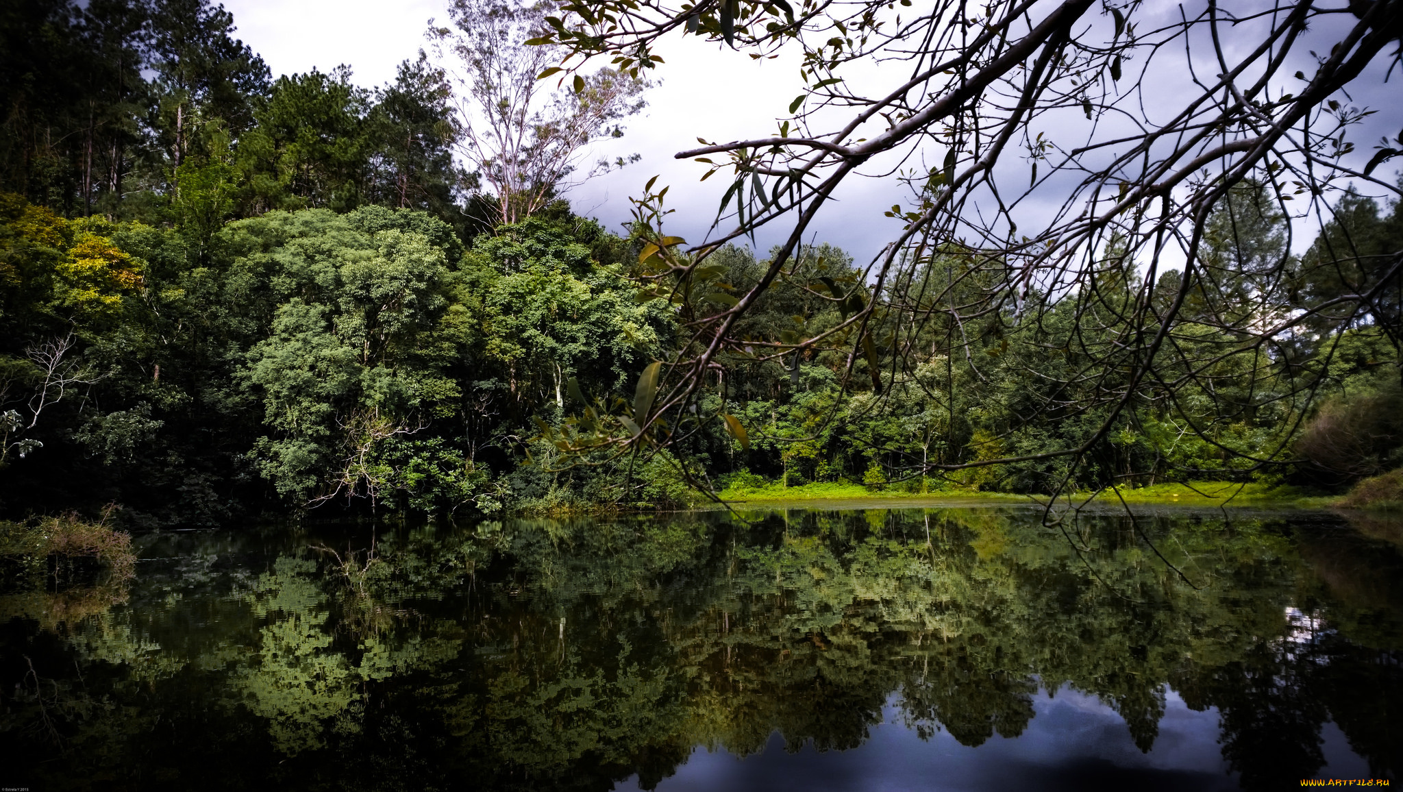 природа, реки, озера, лес, река