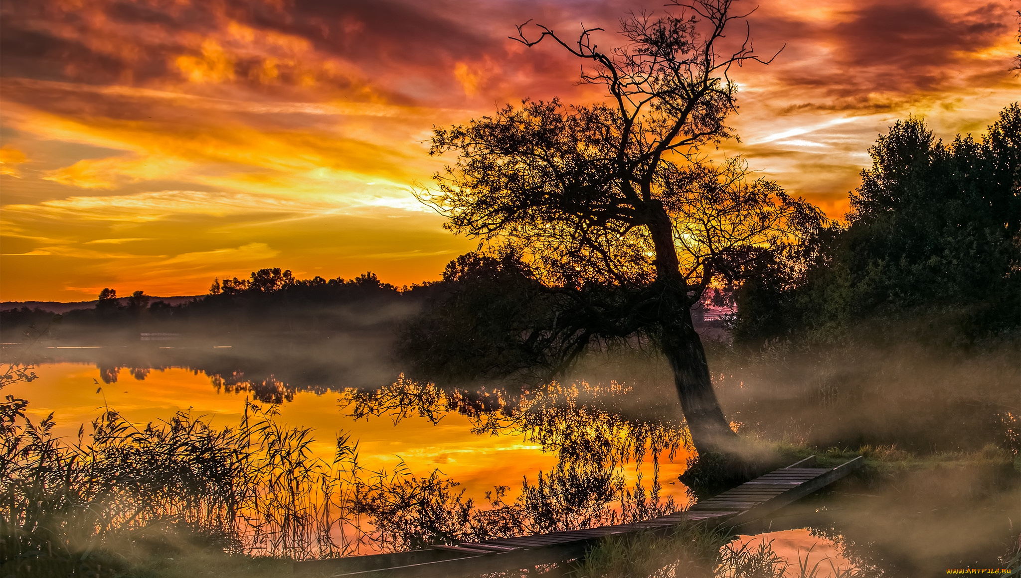 природа, восходы, закаты, рассвет