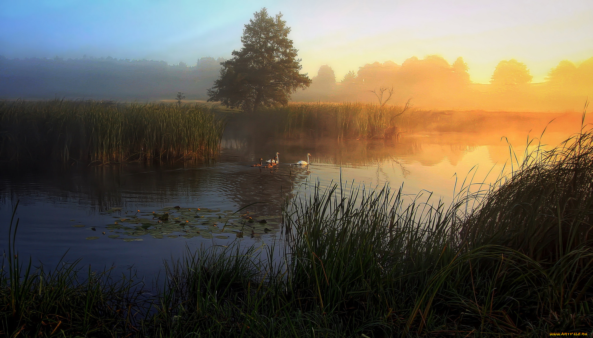 природа, восходы, закаты, рассвет
