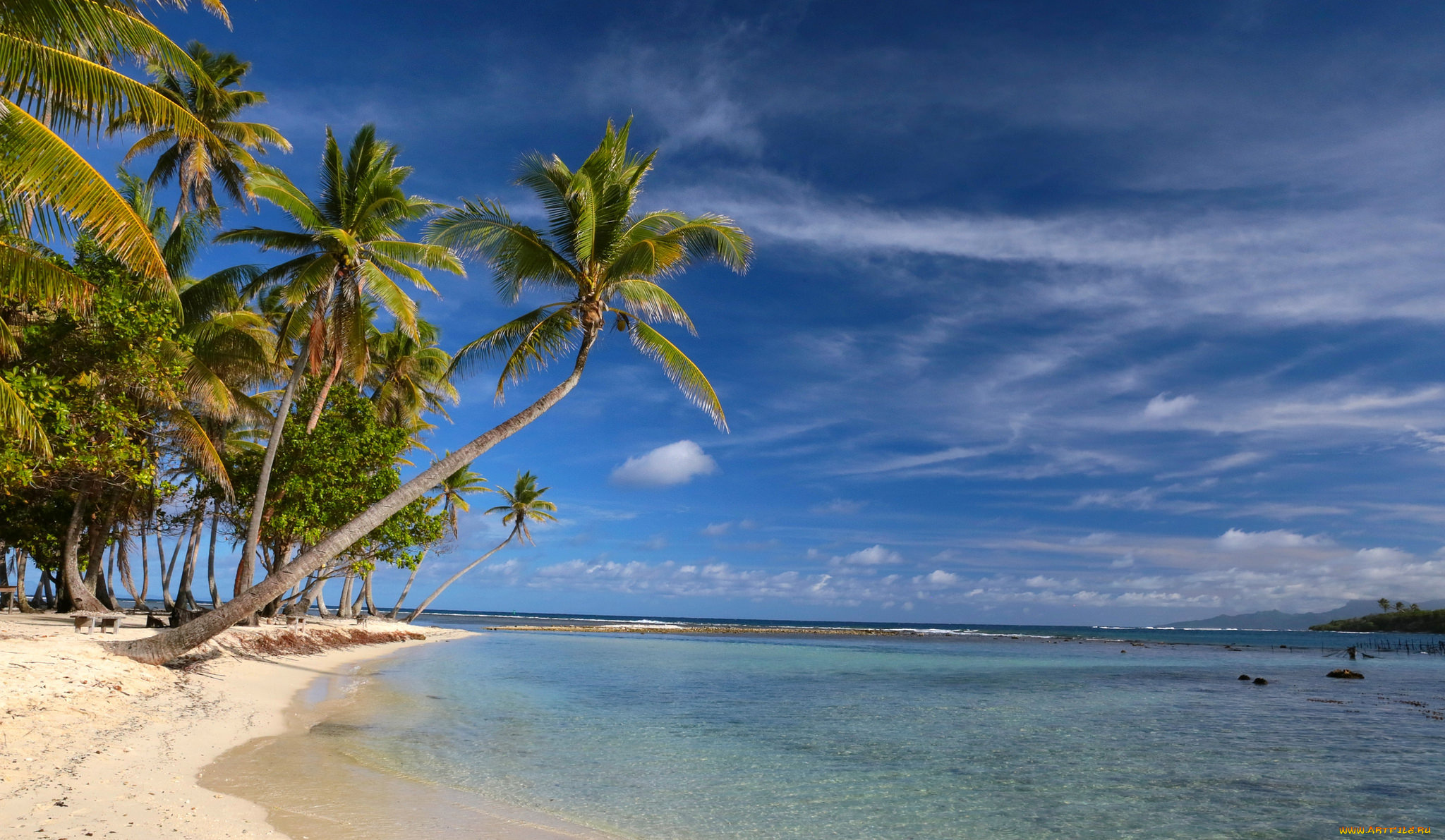 природа, тропики, курорт