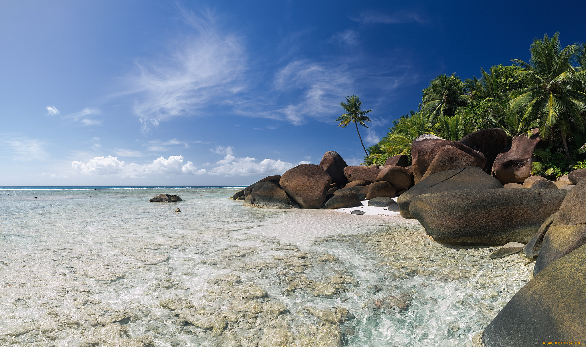 природа, тропики, курорт