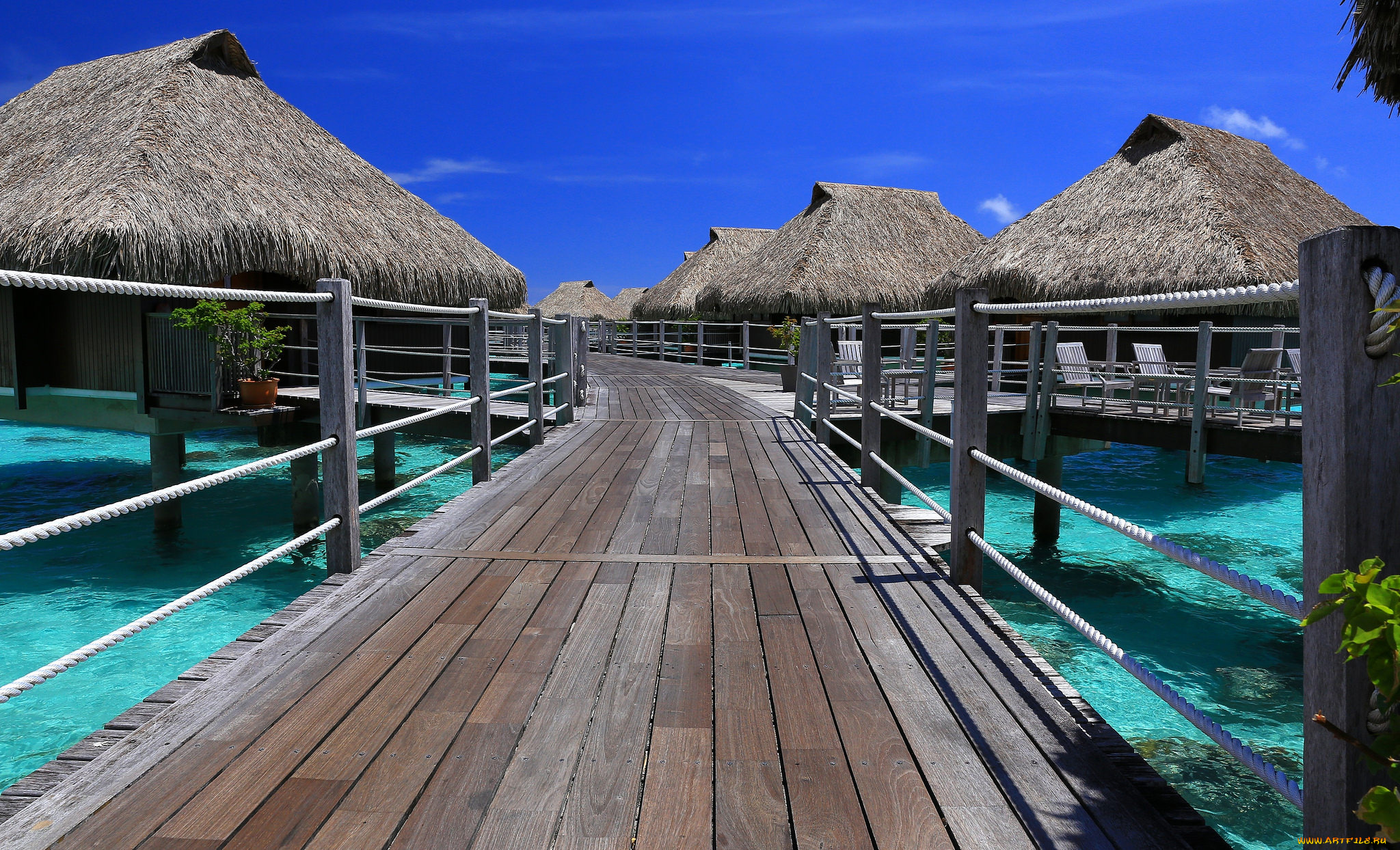 природа, тропики, курорт