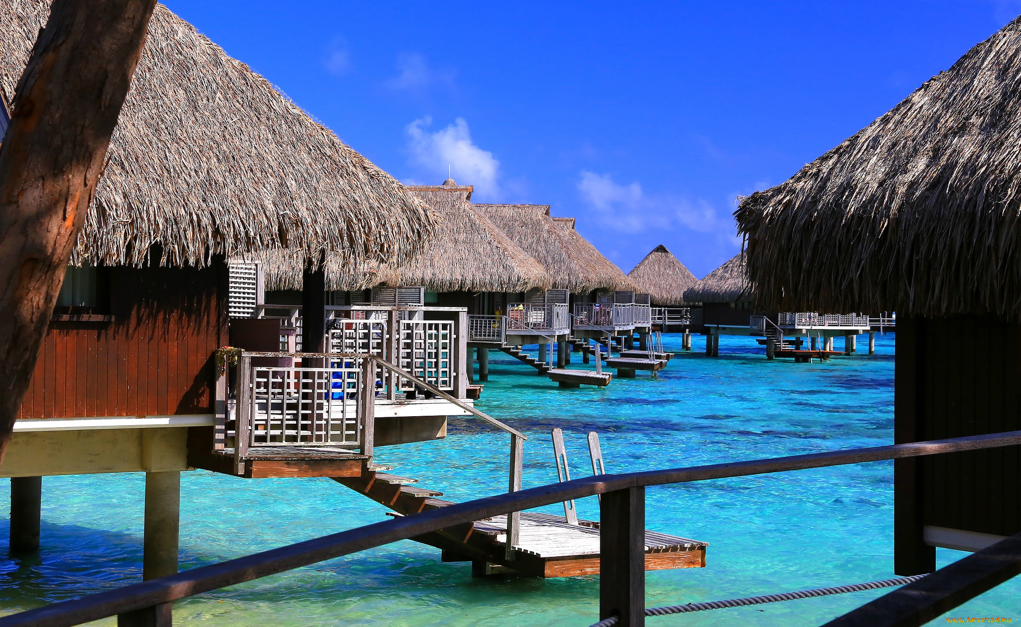 природа, тропики, курорт