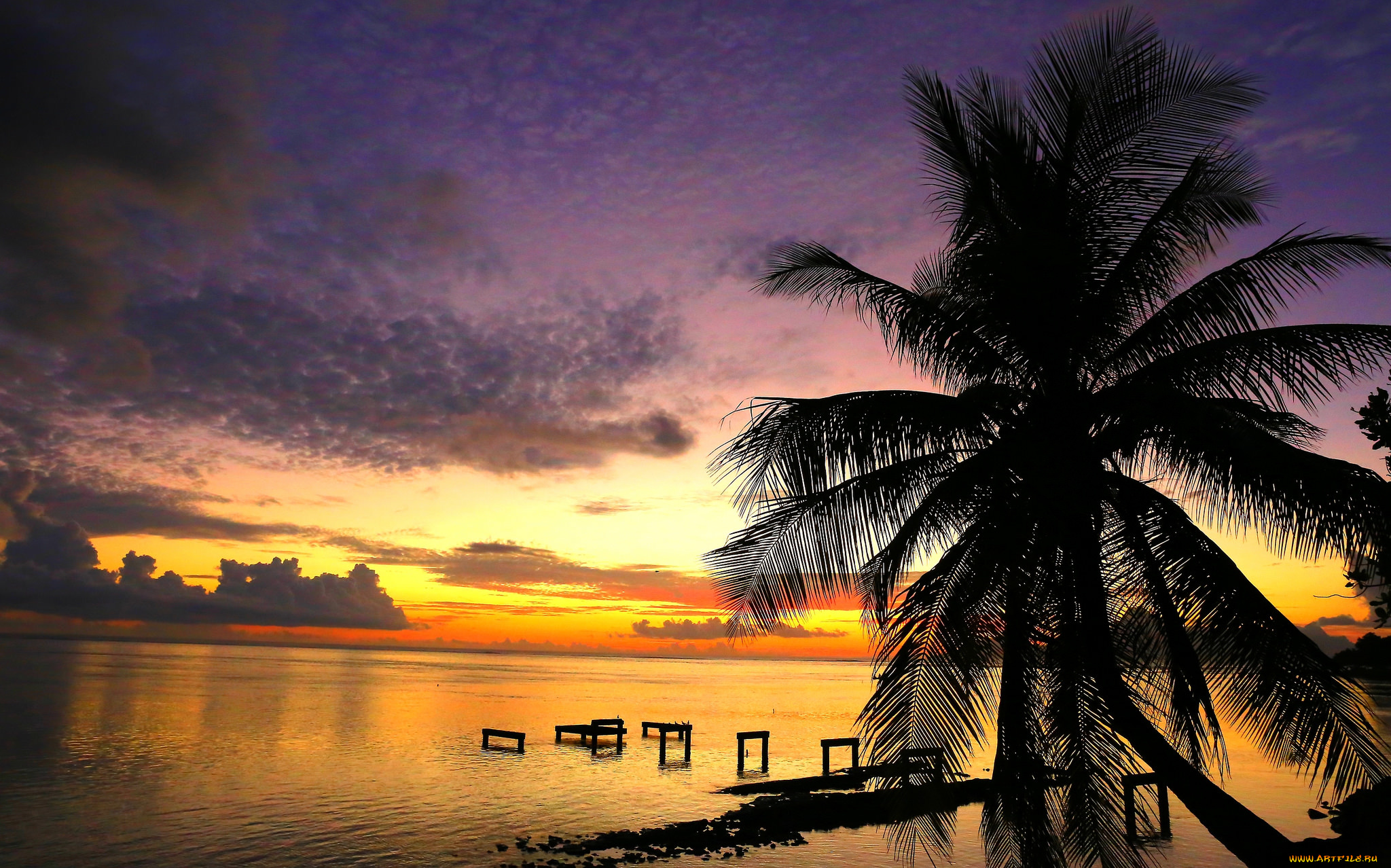 природа, тропики, курорт