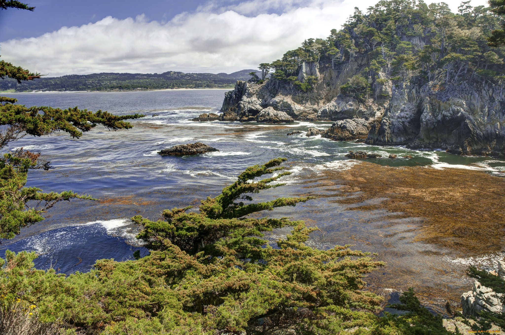 природа, побережье, море, берег