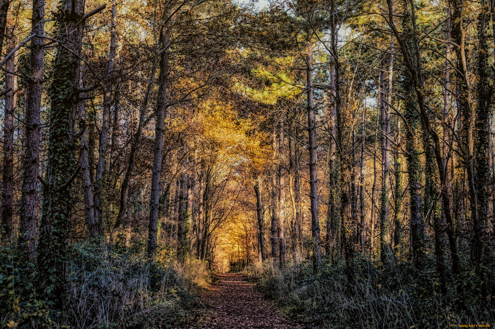 природа, дороги, тракт