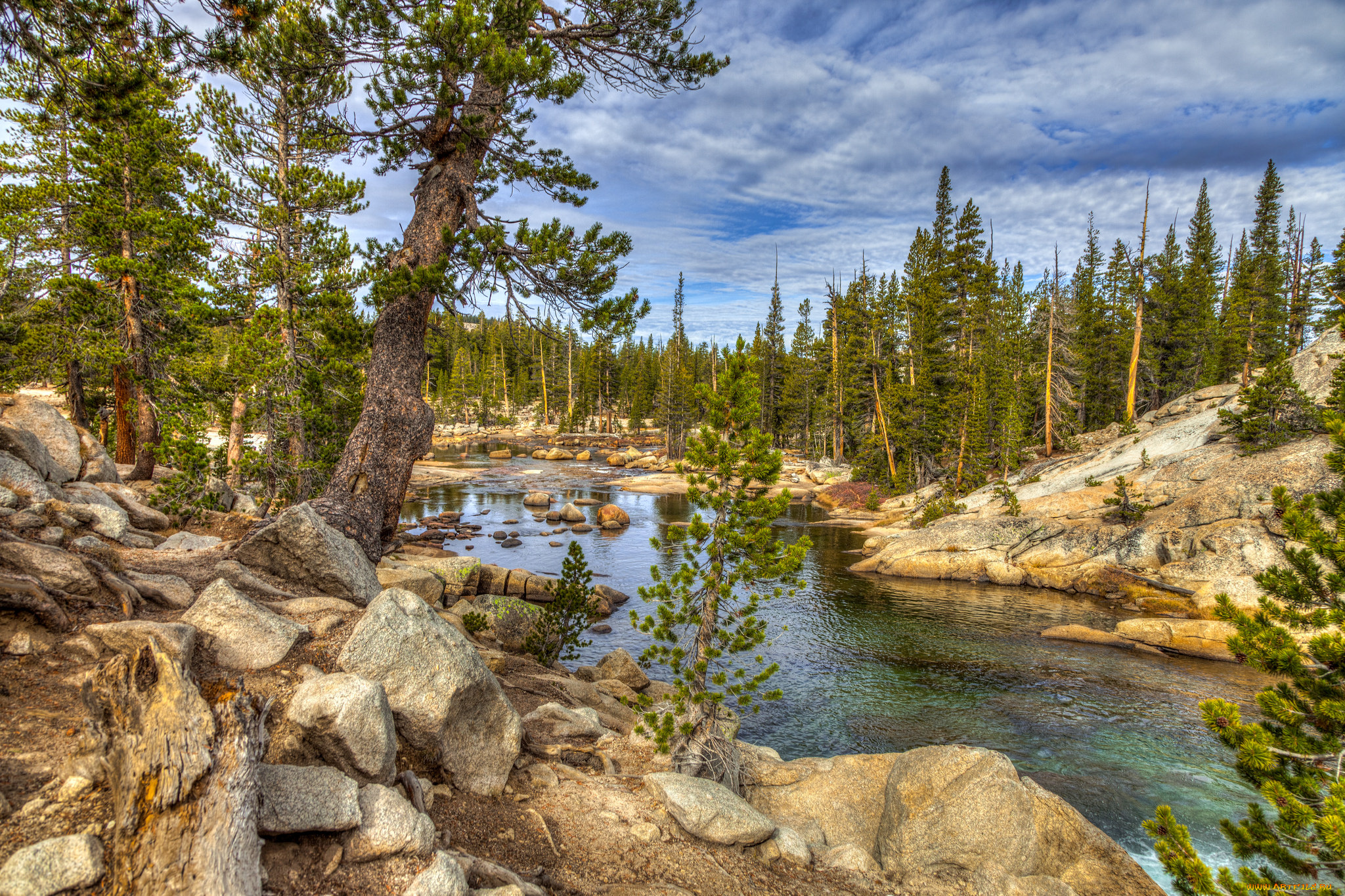 природа, реки, озера, лес, река