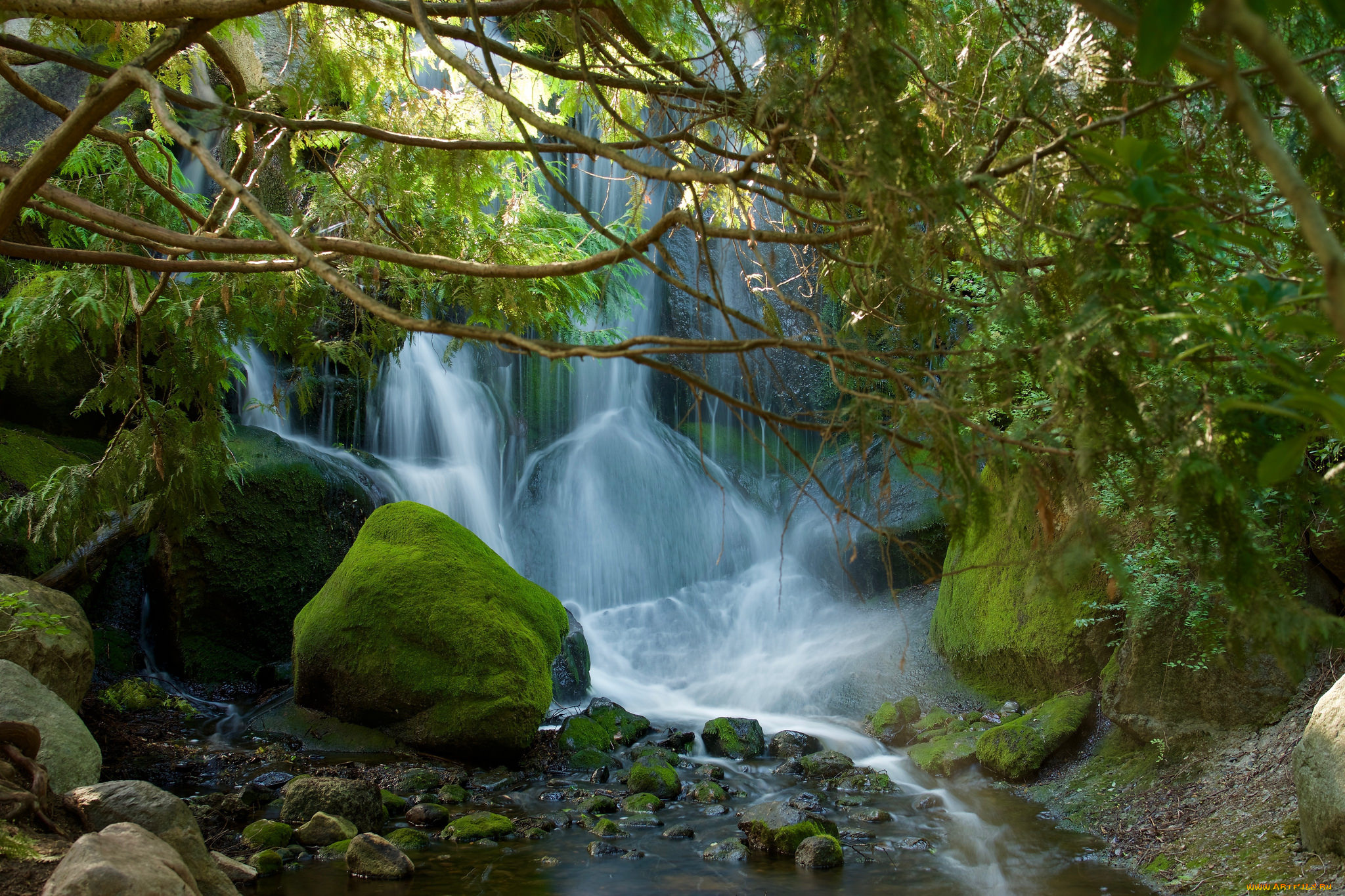 природа, водопады, лес, река, водопад
