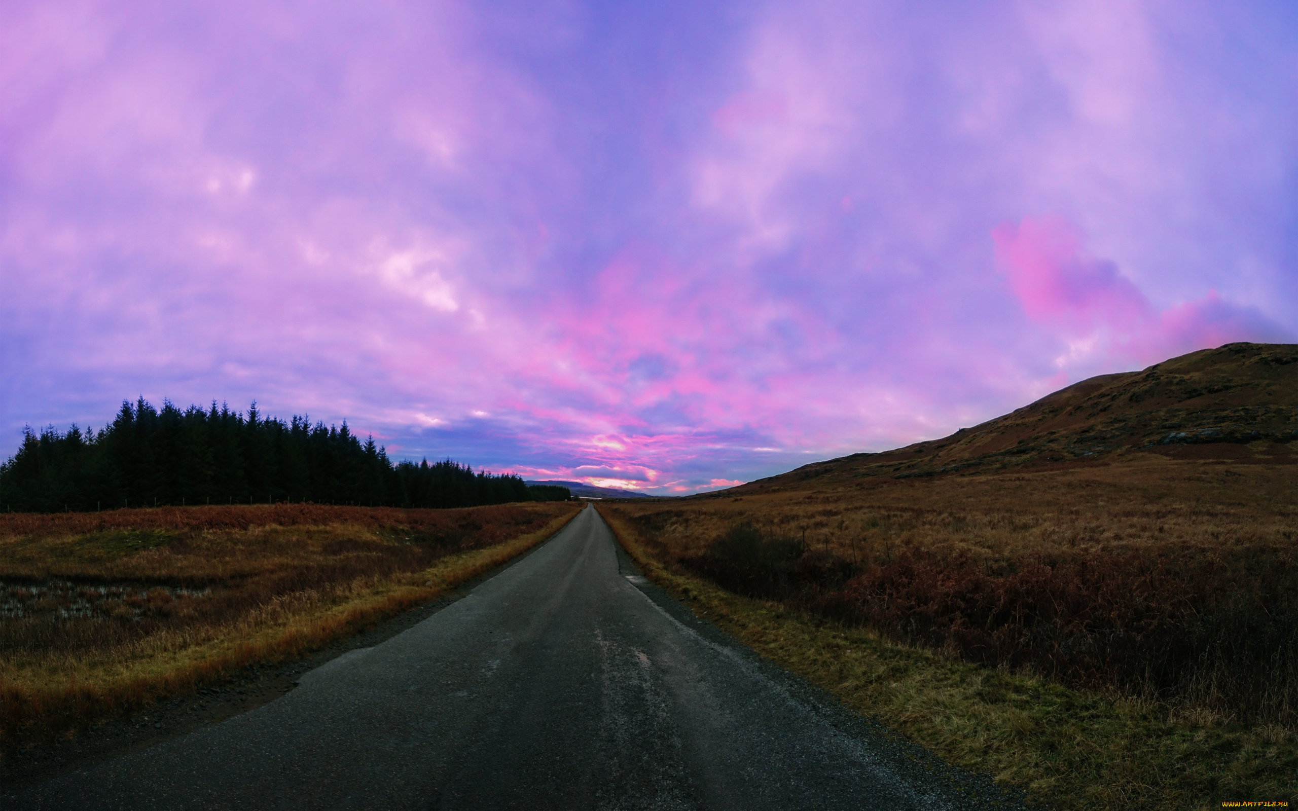 природа, дороги, лес, сумерки