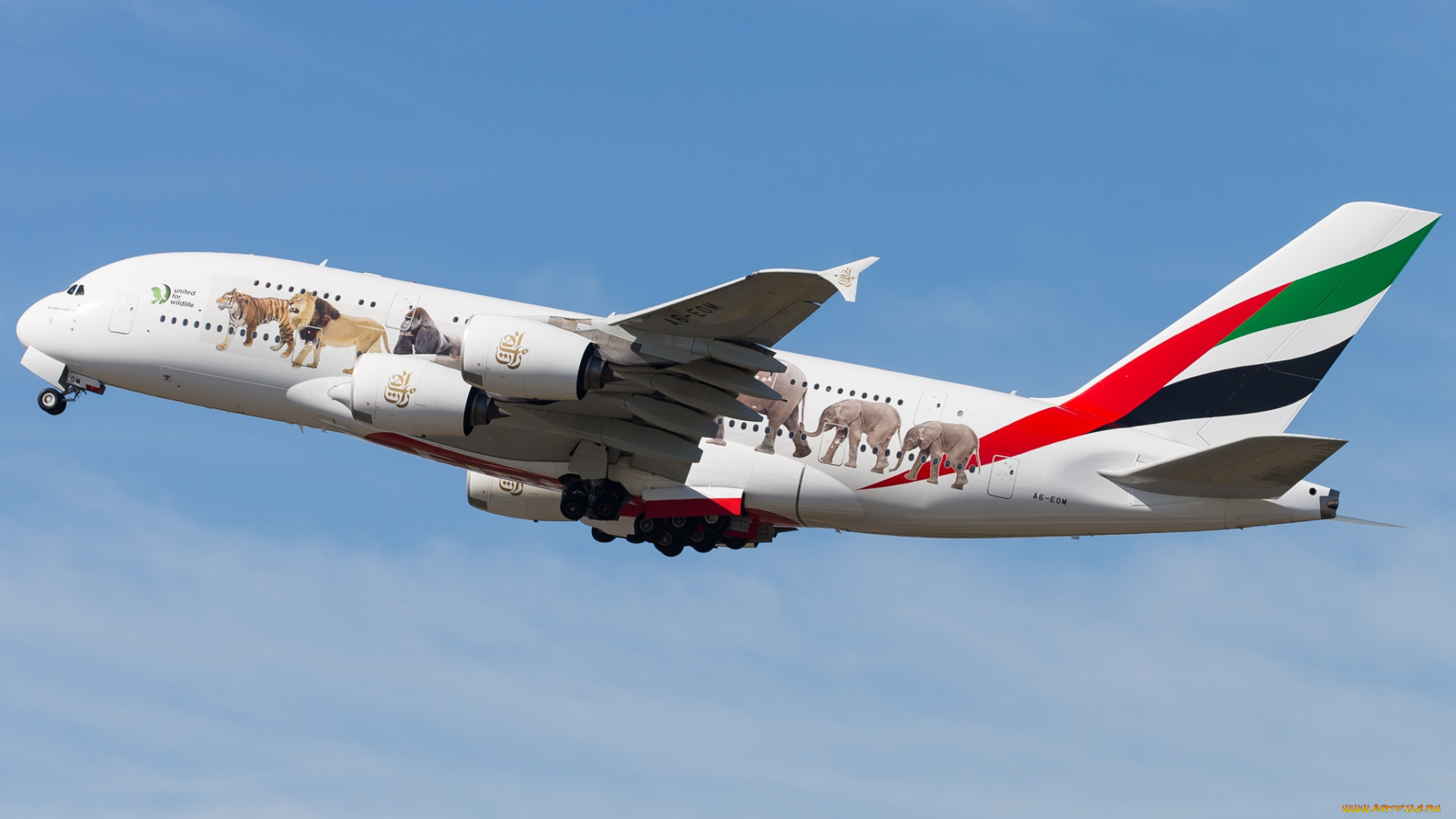 airbus, a380, a6-eom, авиация, пассажирские, самолёты, авиалайнер