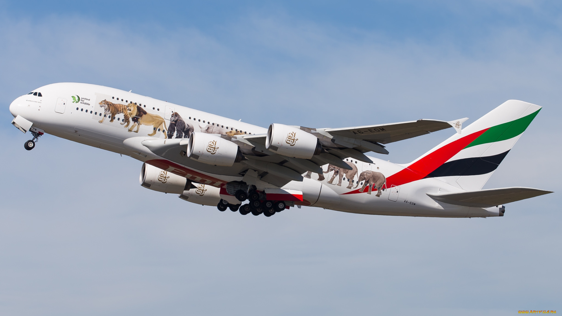 airbus, a380, a6-eom, авиация, пассажирские, самолёты, авиалайнер