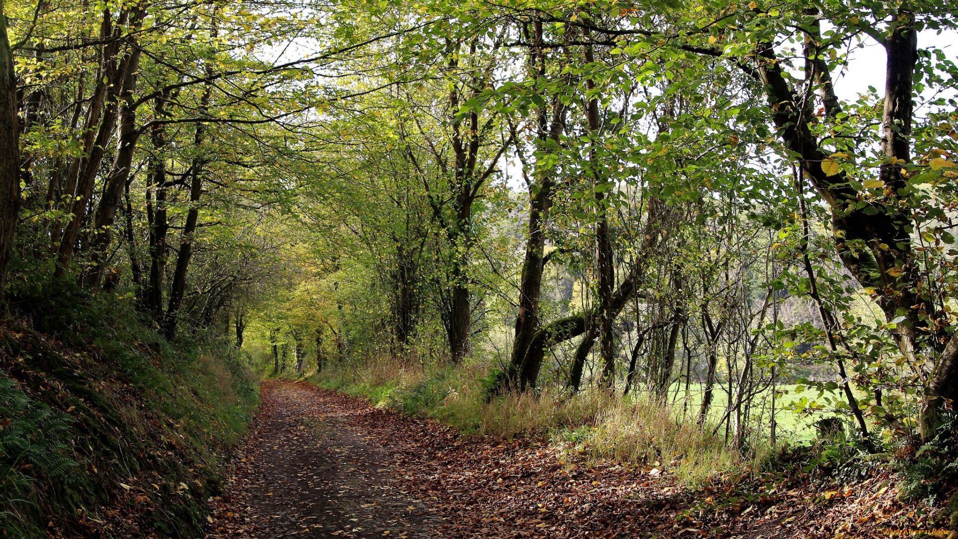 природа, дороги, простор