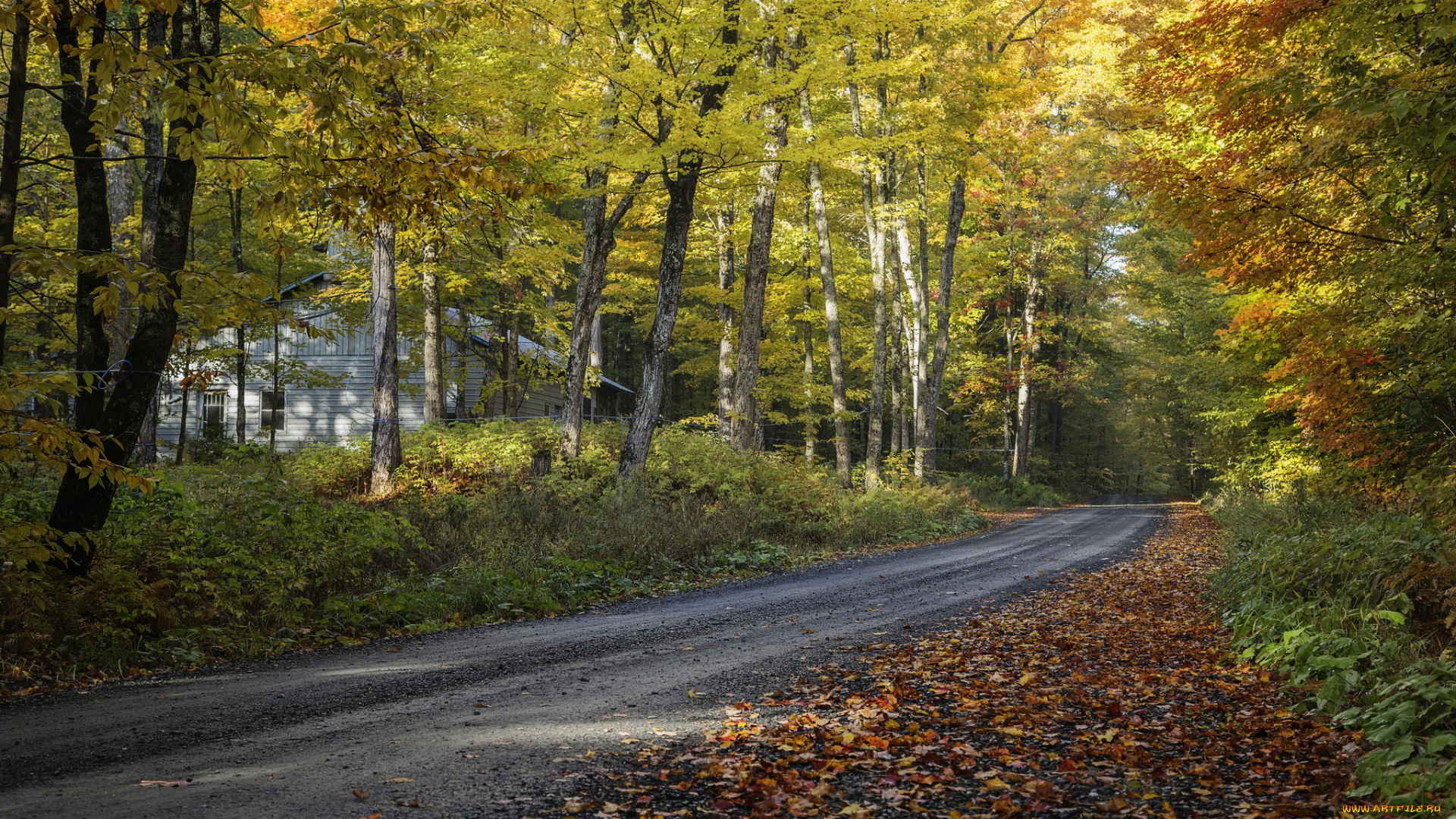 природа, дороги, простор