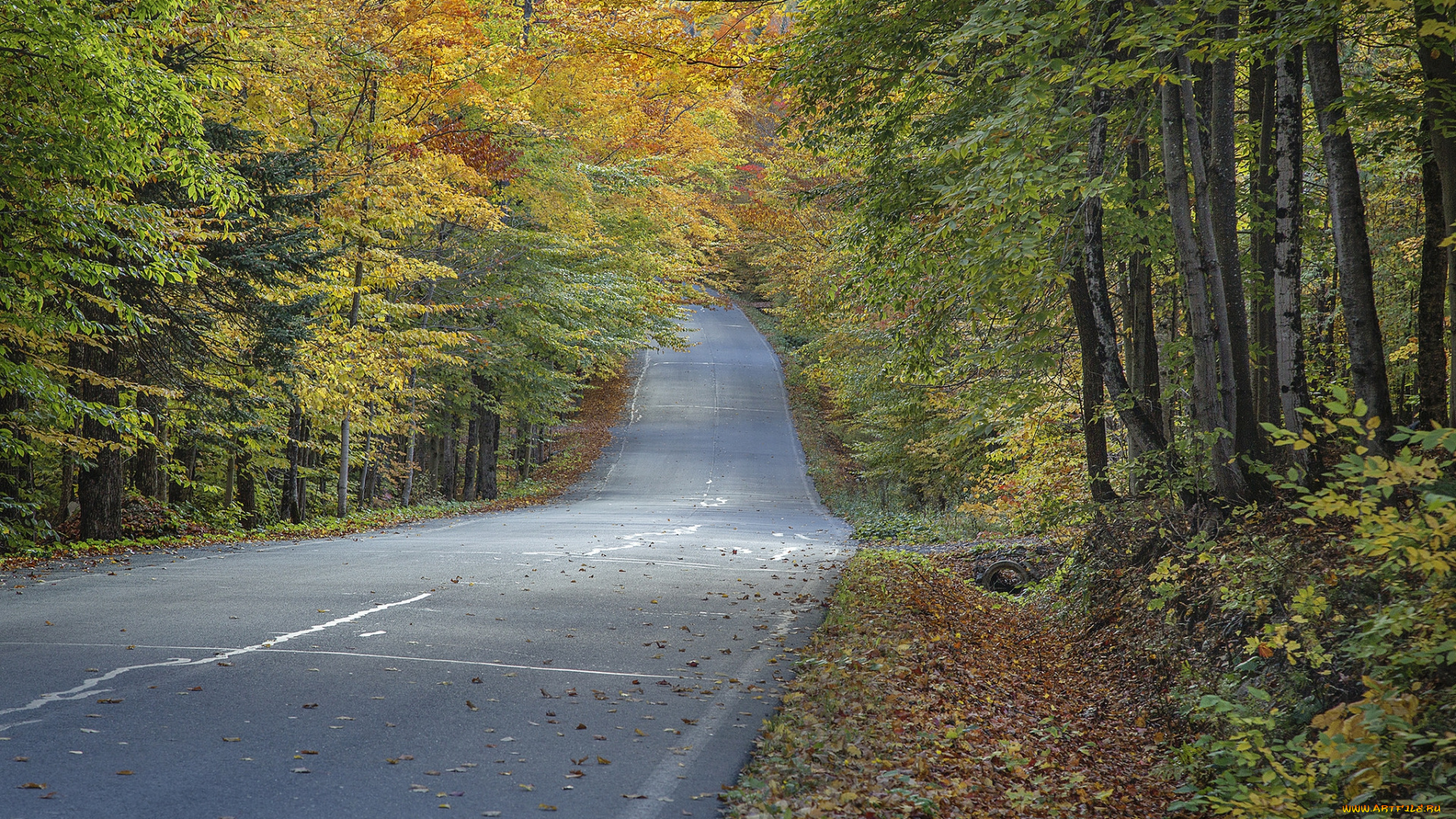 природа, дороги, простор