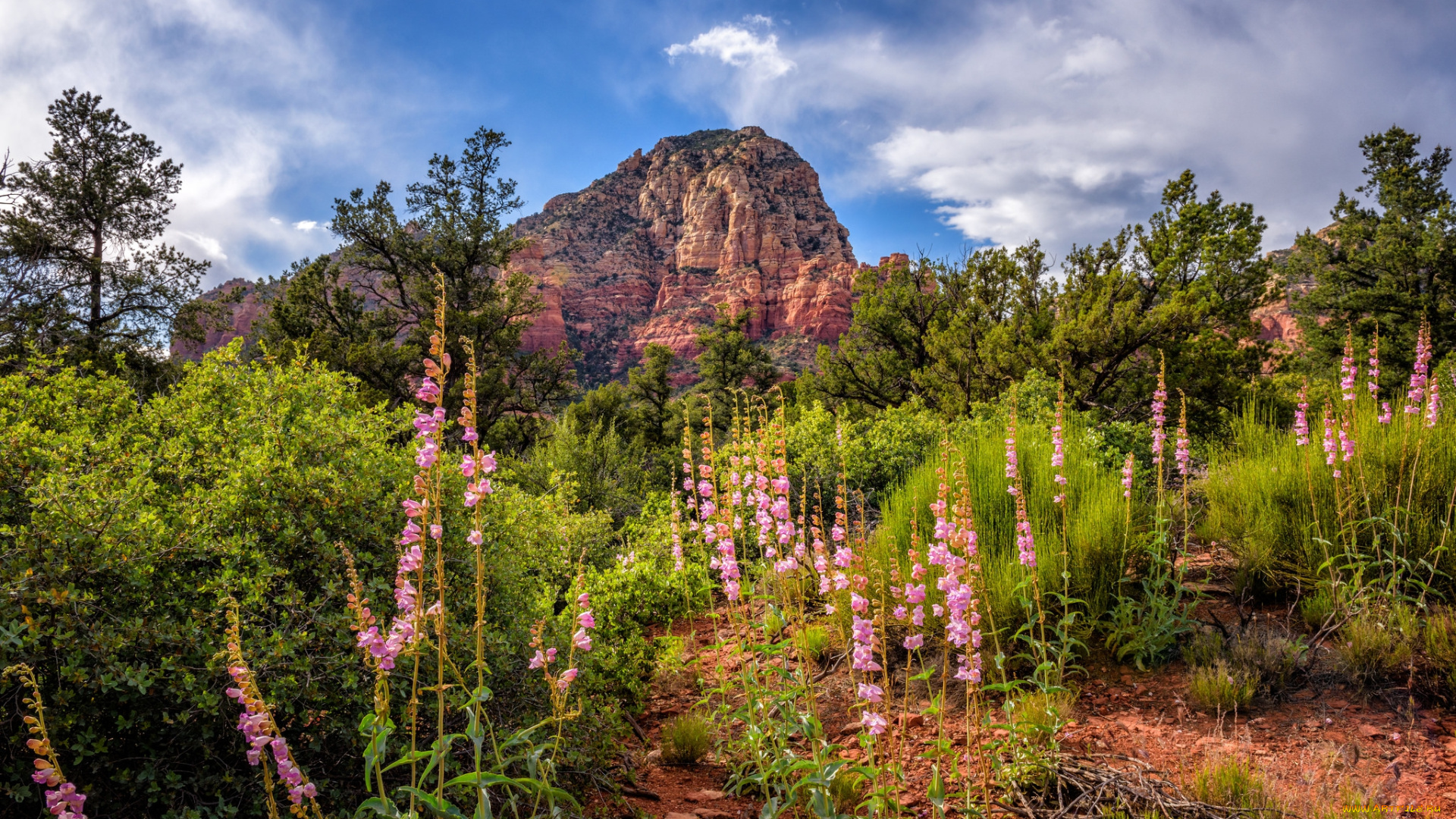 природа, горы, простор