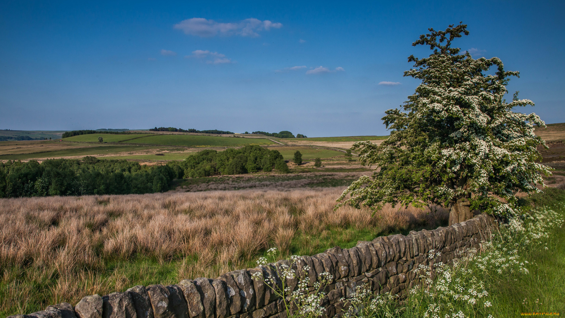природа, пейзажи, простор