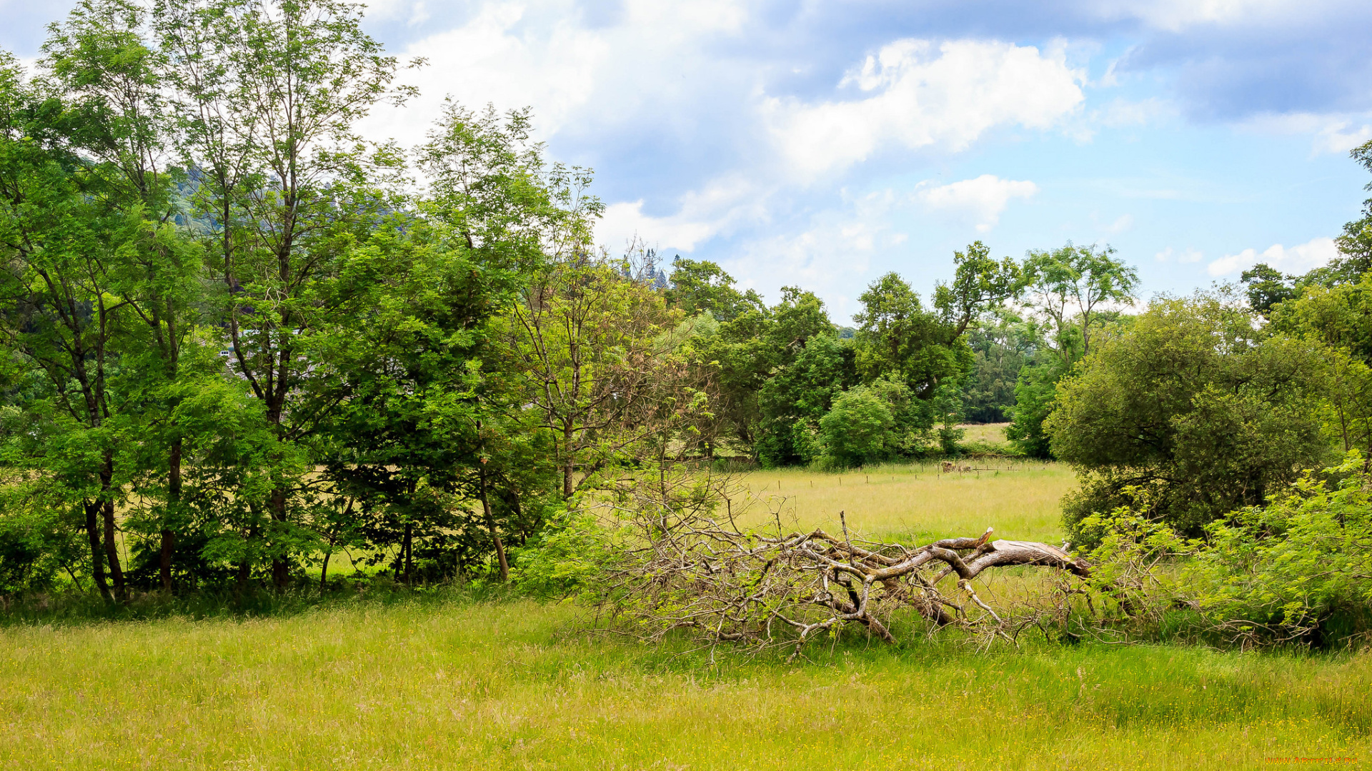 природа, пейзажи, простор